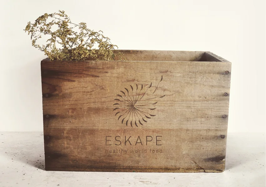 eskape6.jpg