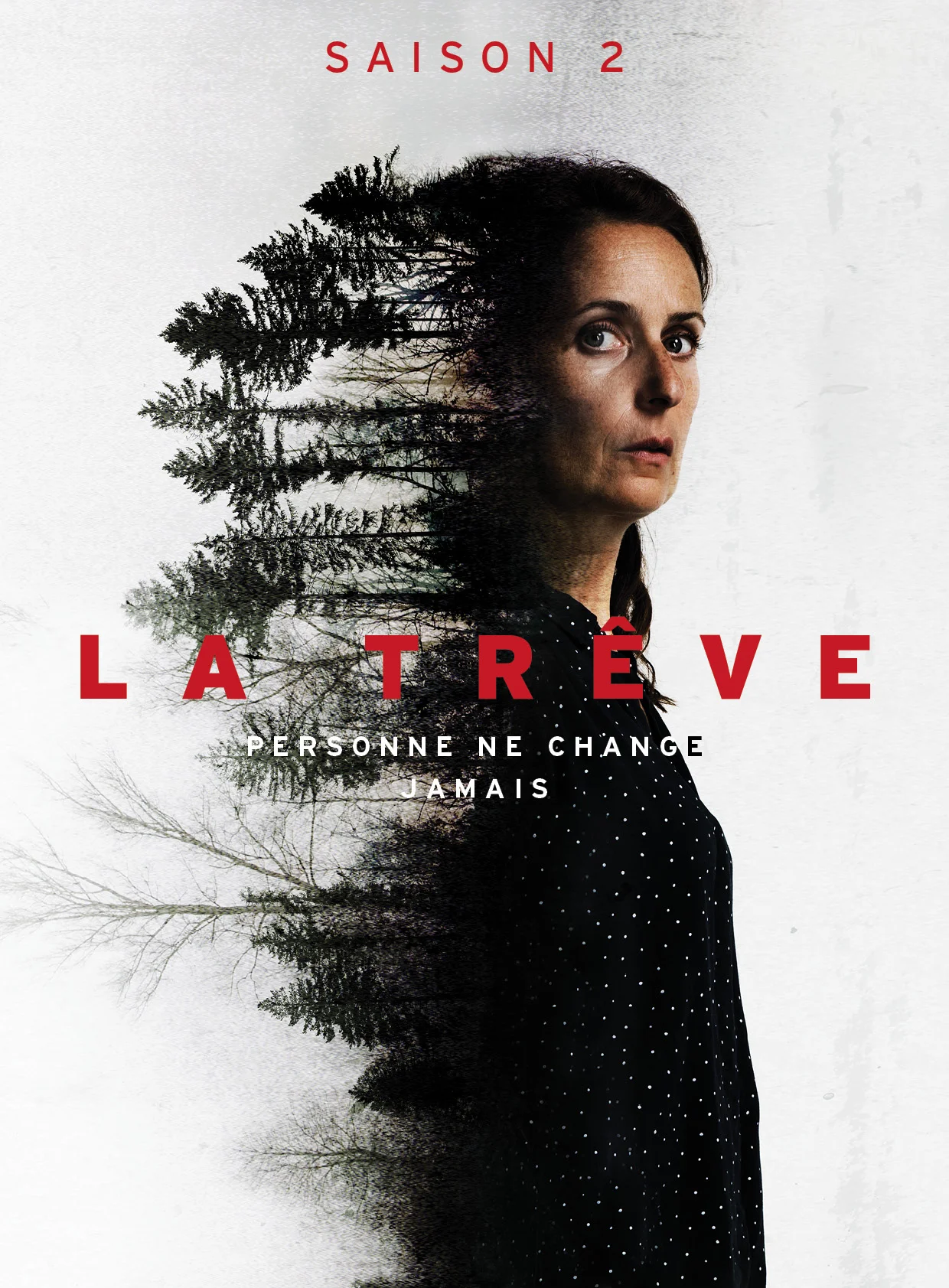 la_trêve_foret_yasmina.jpg