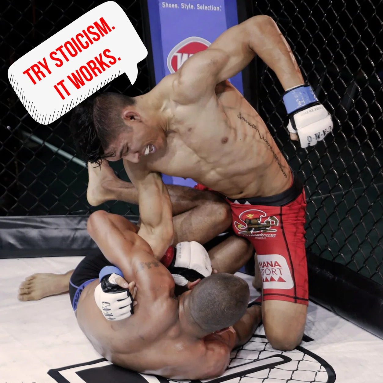 How stoicism and cage fighting go hand-in-hand