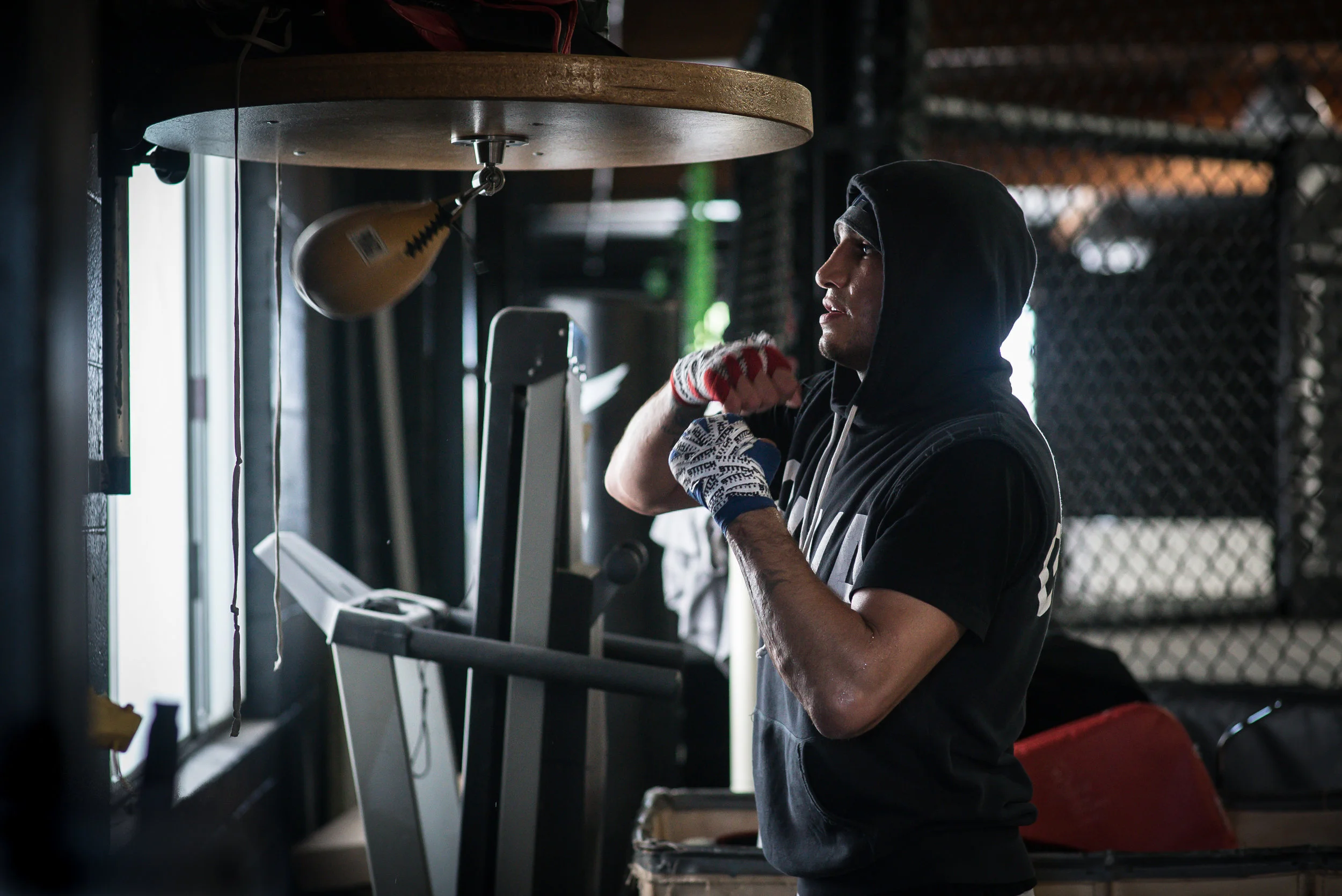 Ferguson Speed Bag.jpg