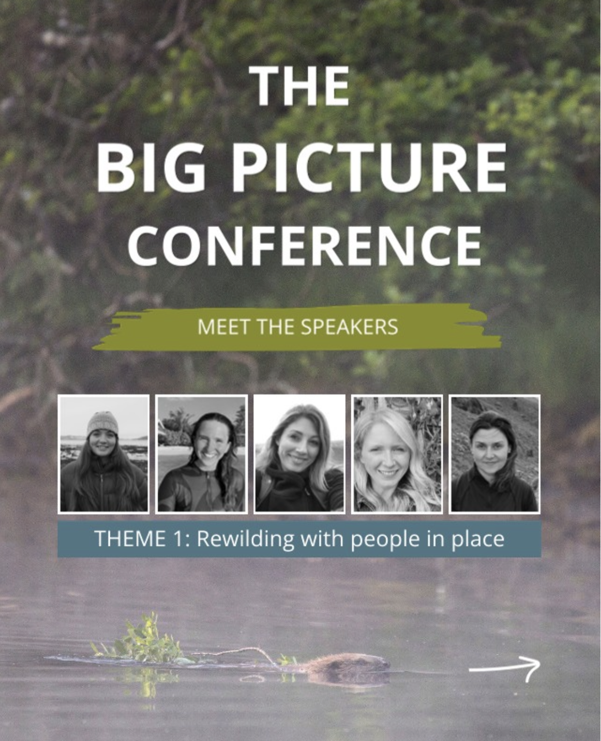 Talk: ‘Cultural Heritage, Creativity &amp; Community’ - The Big Picture Conference, Scotland’s Rewilding Event 