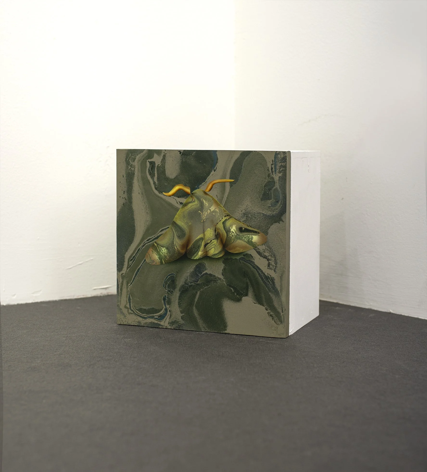 MOTH 2