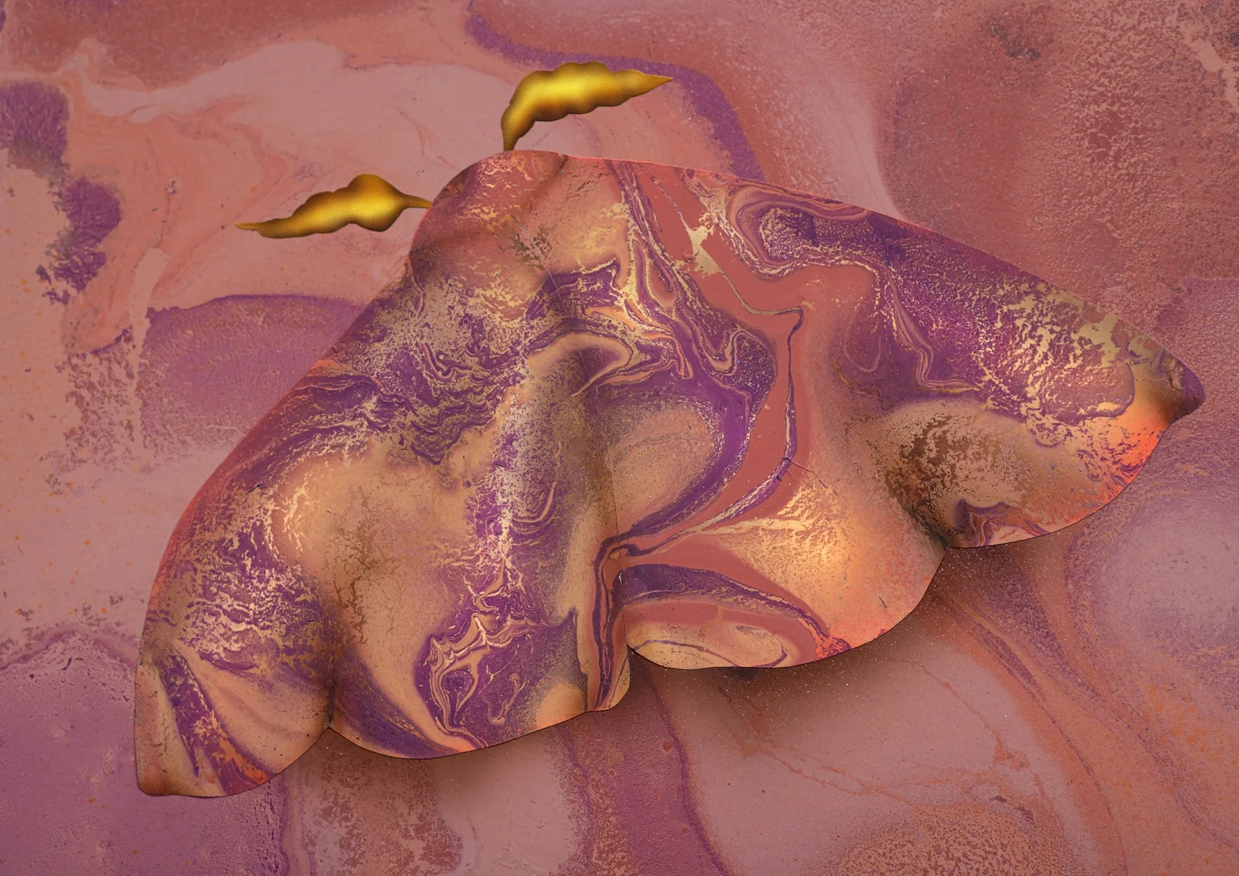 MOTH 1