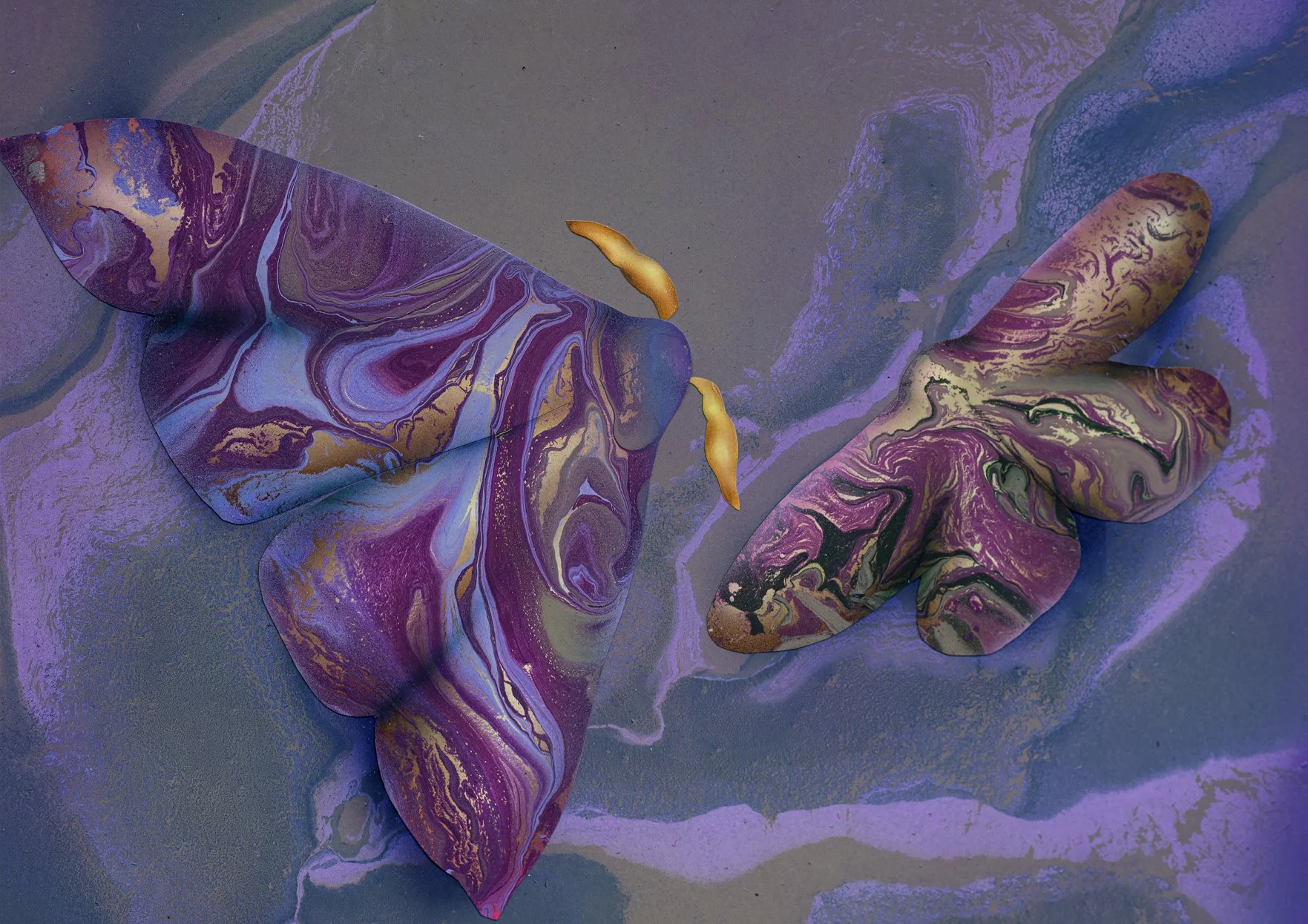 MOTH 3