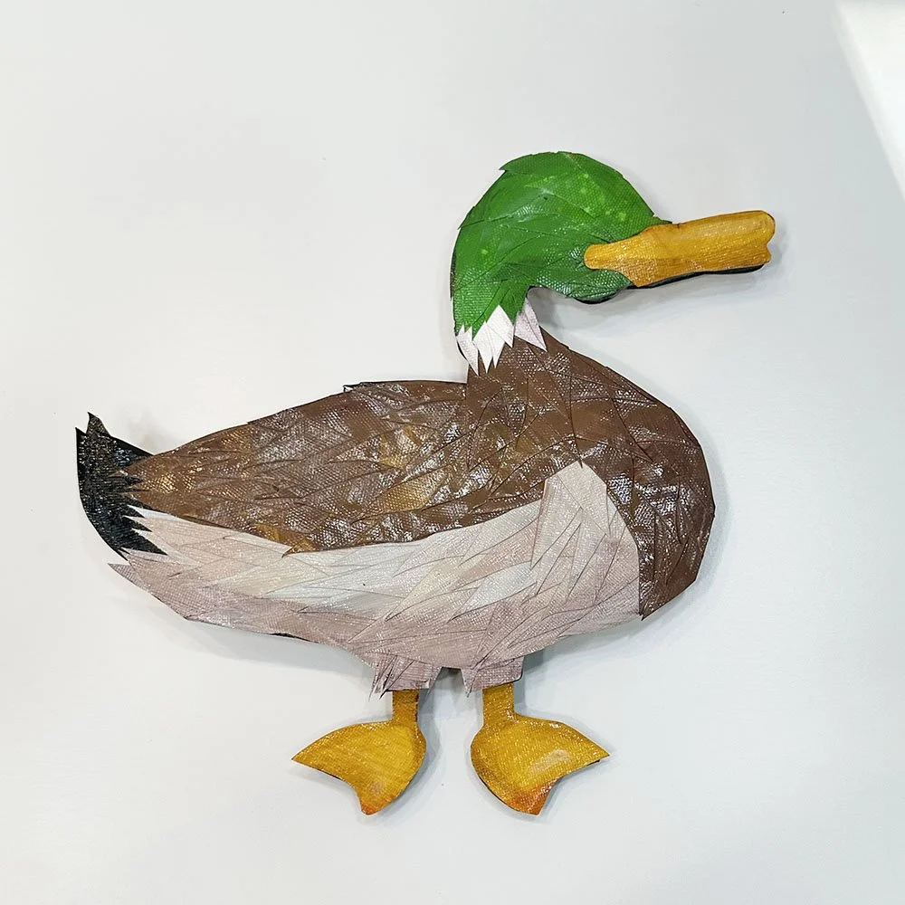 mallardduckside.jpg