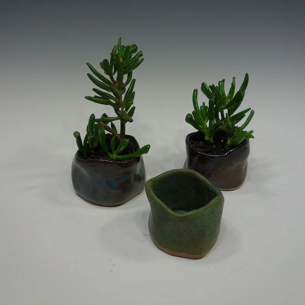 starterpots.jpg