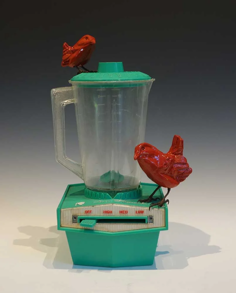 Birds-on-suzy-Homemaker.jpg