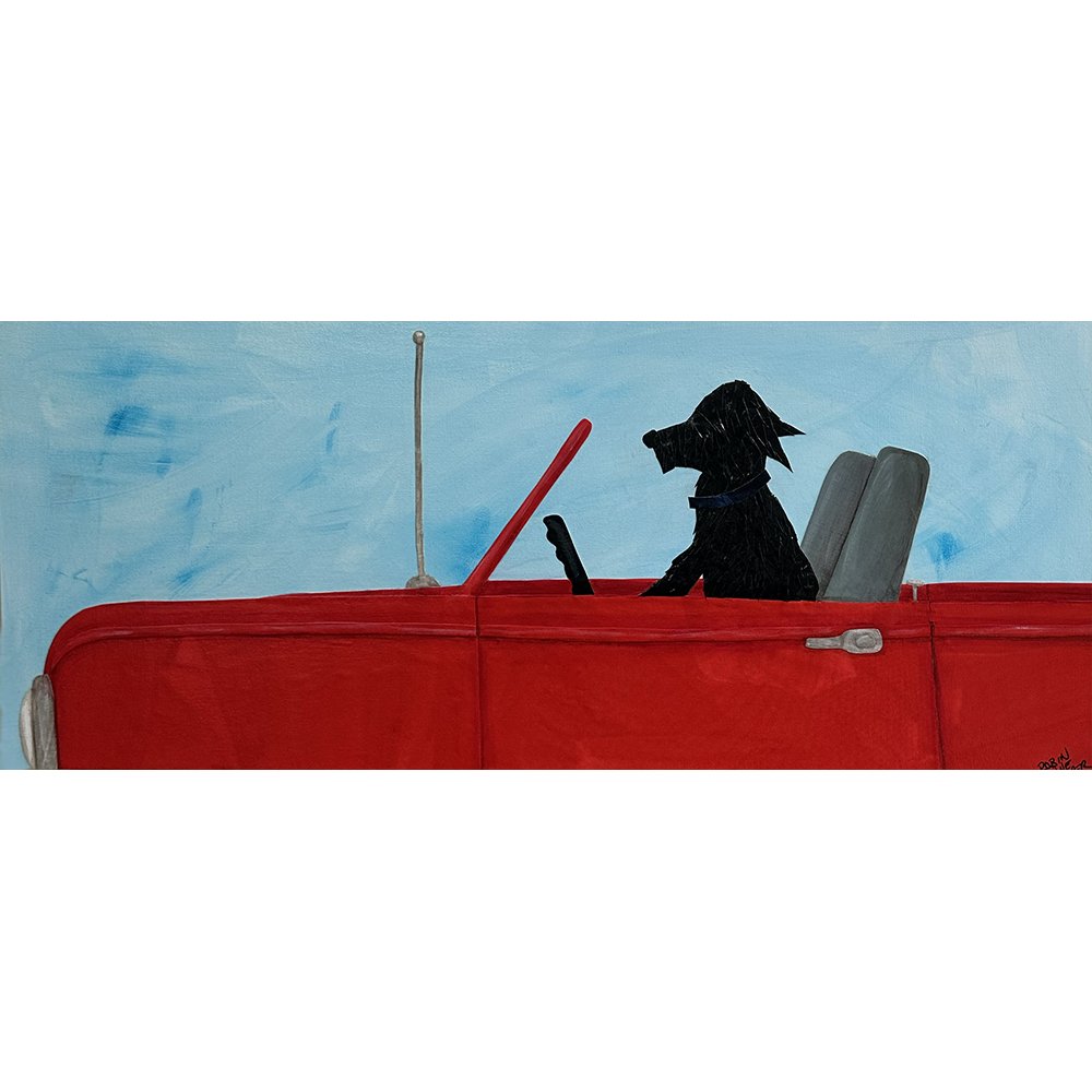 blackdogincar.jpg