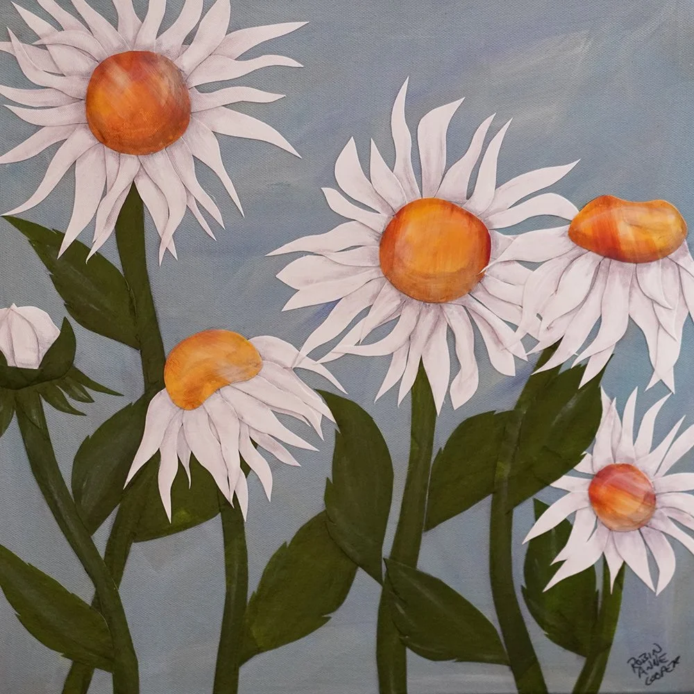 daisies.jpg