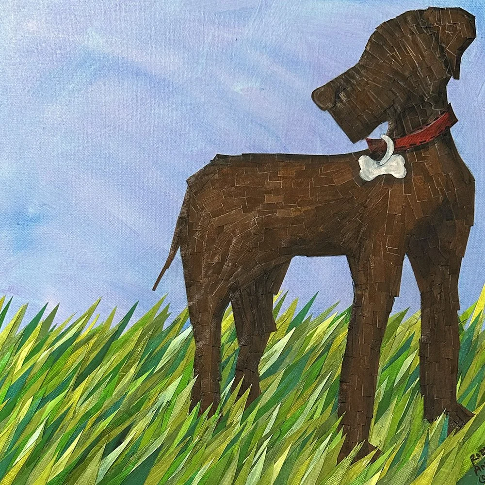 browndogingrass2.jpg