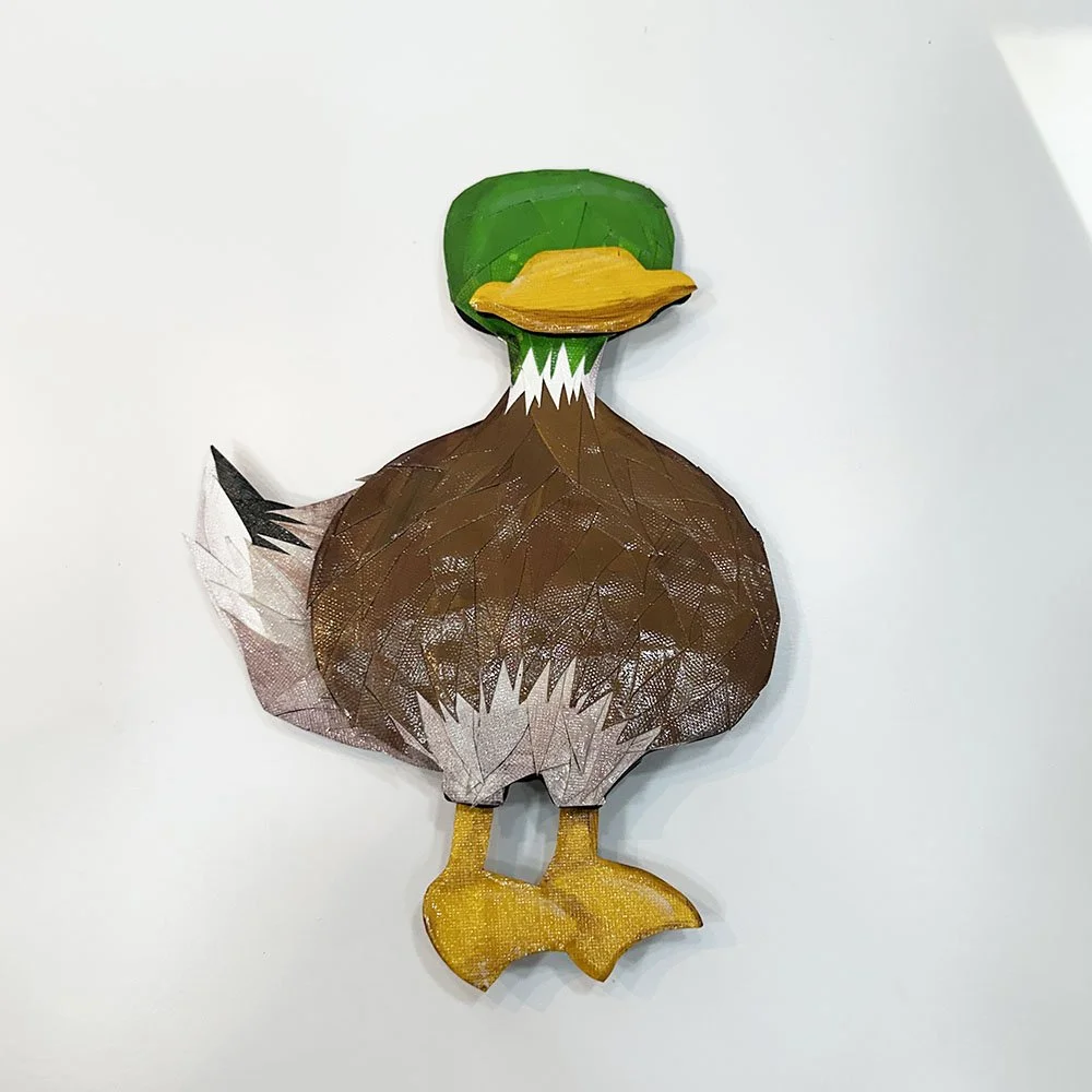 mallardduckf.jpg