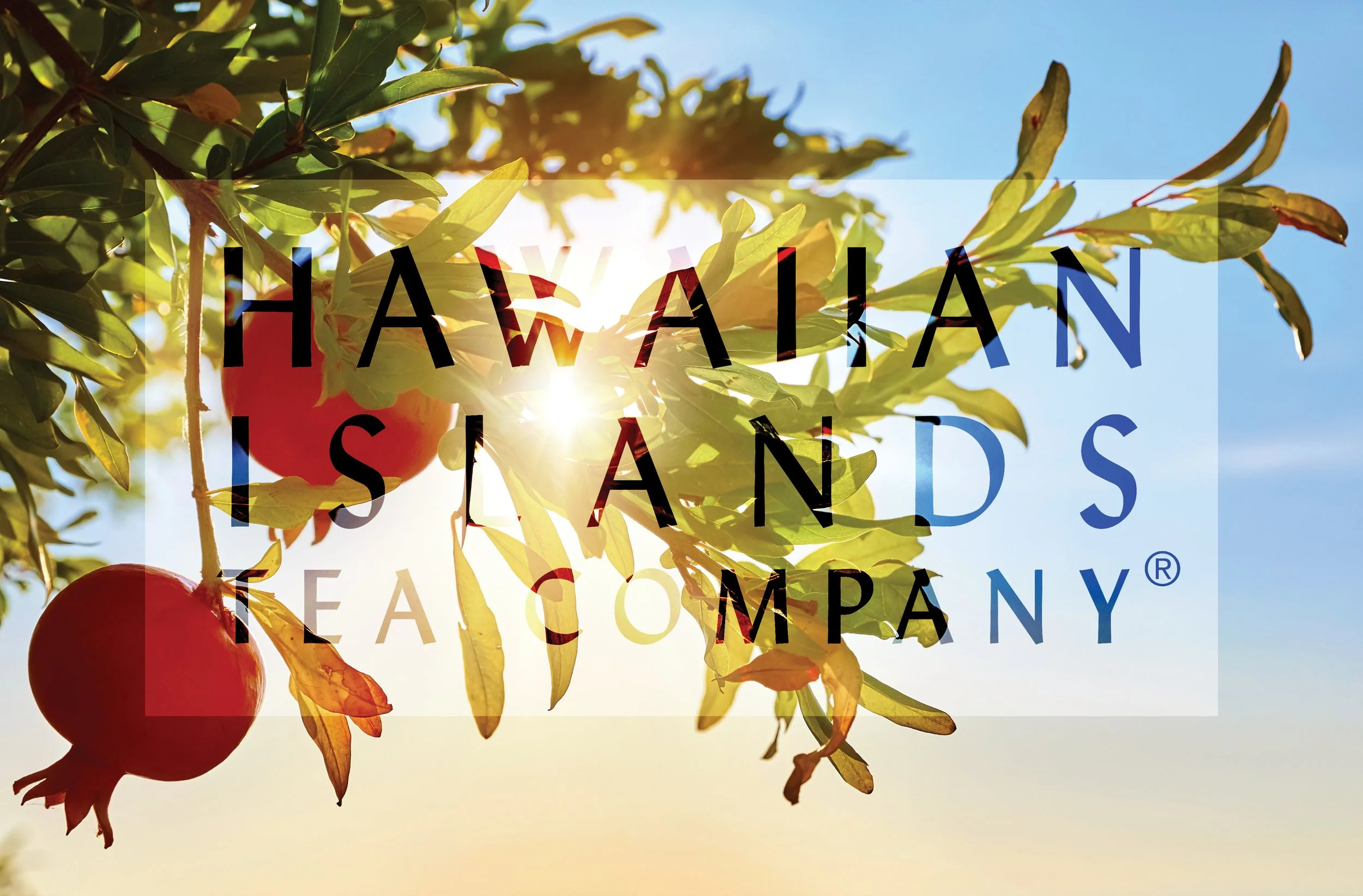 Hawaiian Islands Tea Company