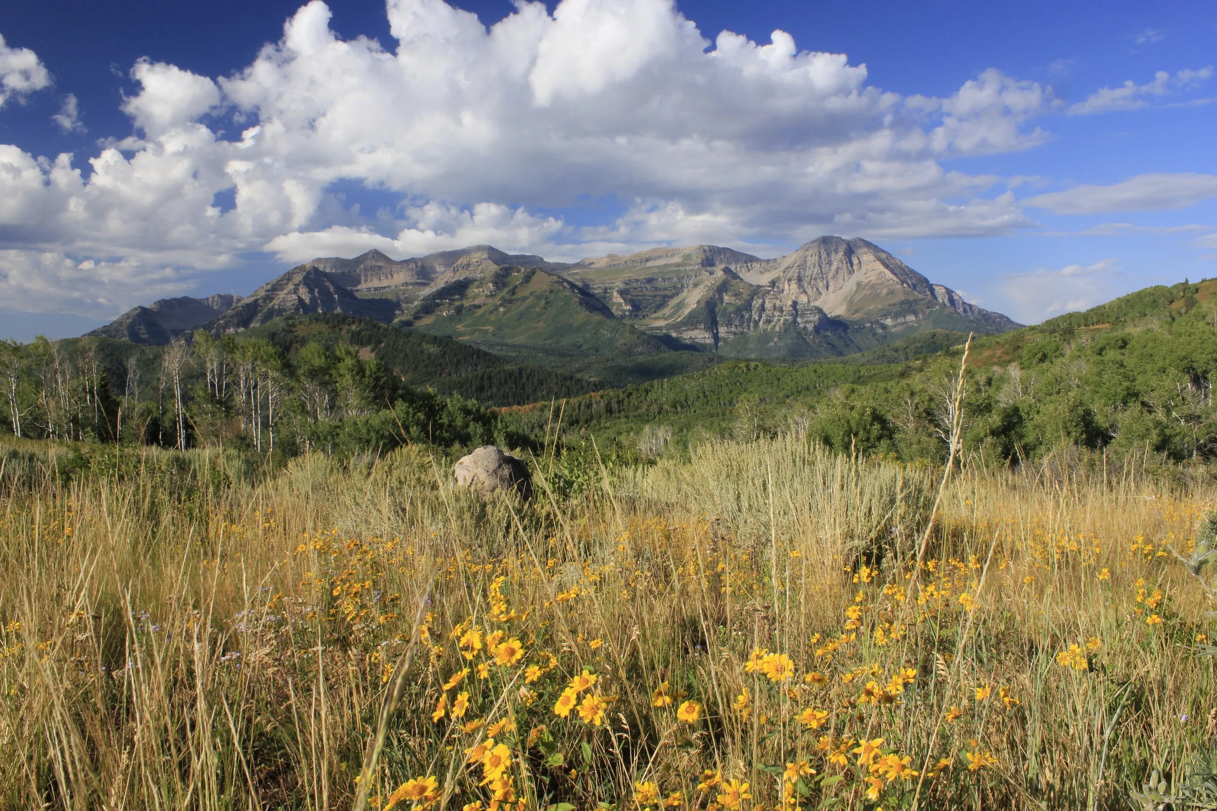 Heber Valley