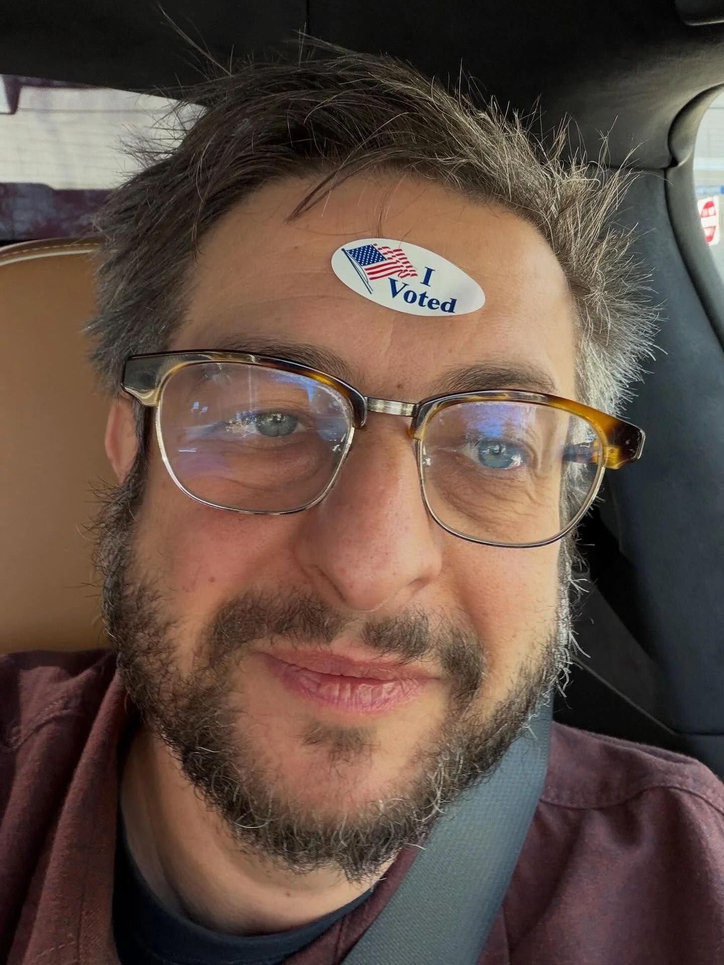 Voted!

You still have time to make your voice heard, unless you have terrible opinions, then you still have time to go bowling or see a movie.

Also, I forgot I still had the sticker in the middle of my forehead when I dropped off my dry cleaning bu