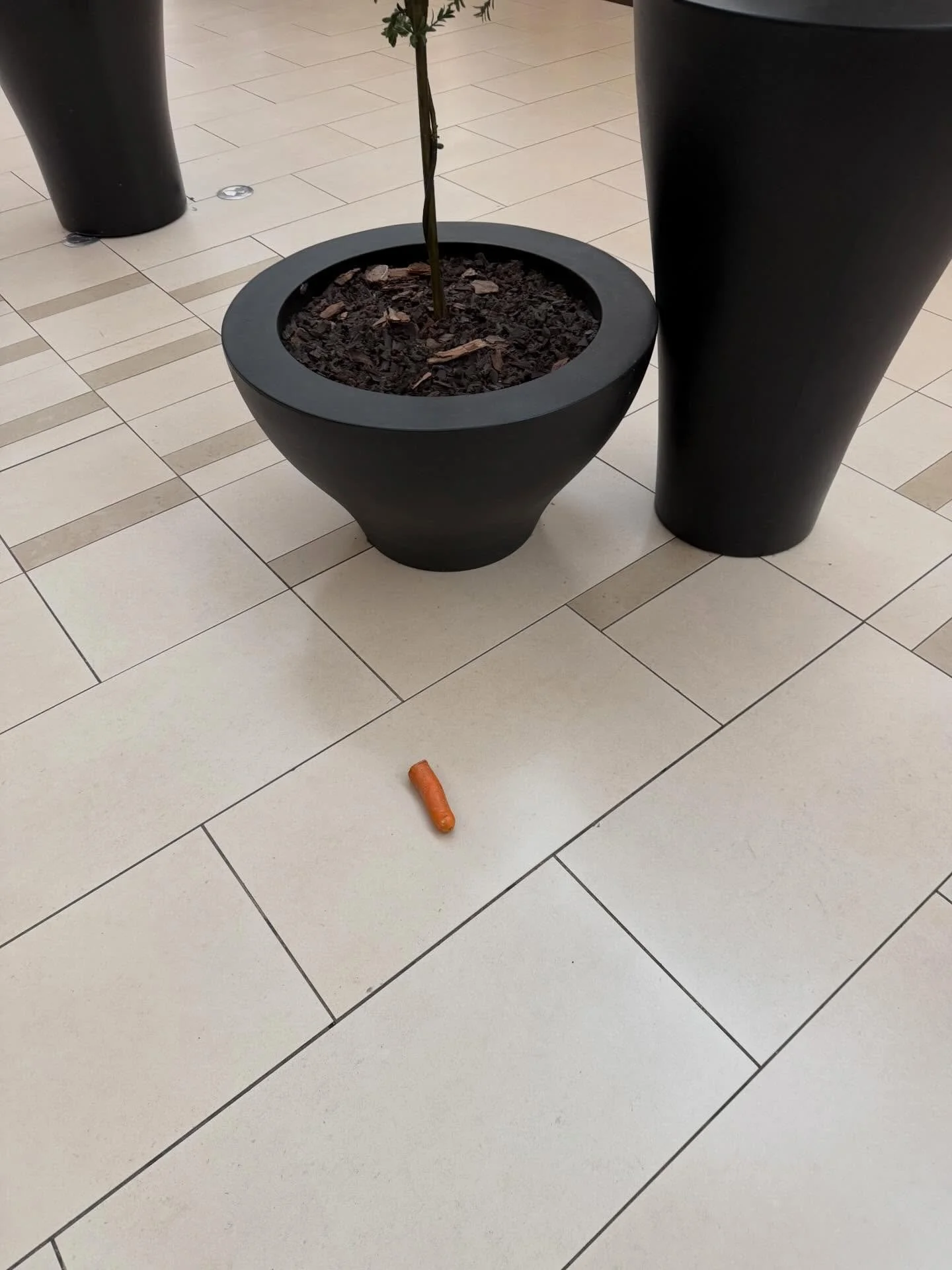 If you lost your carrot, it&rsquo;s near Dunkin Donuts at the Natick Mall. Also, I signed this Bob&rsquo;s Burgers trivia game at Newbury Comics there if anyone is looking for a last minute Christmas gift.