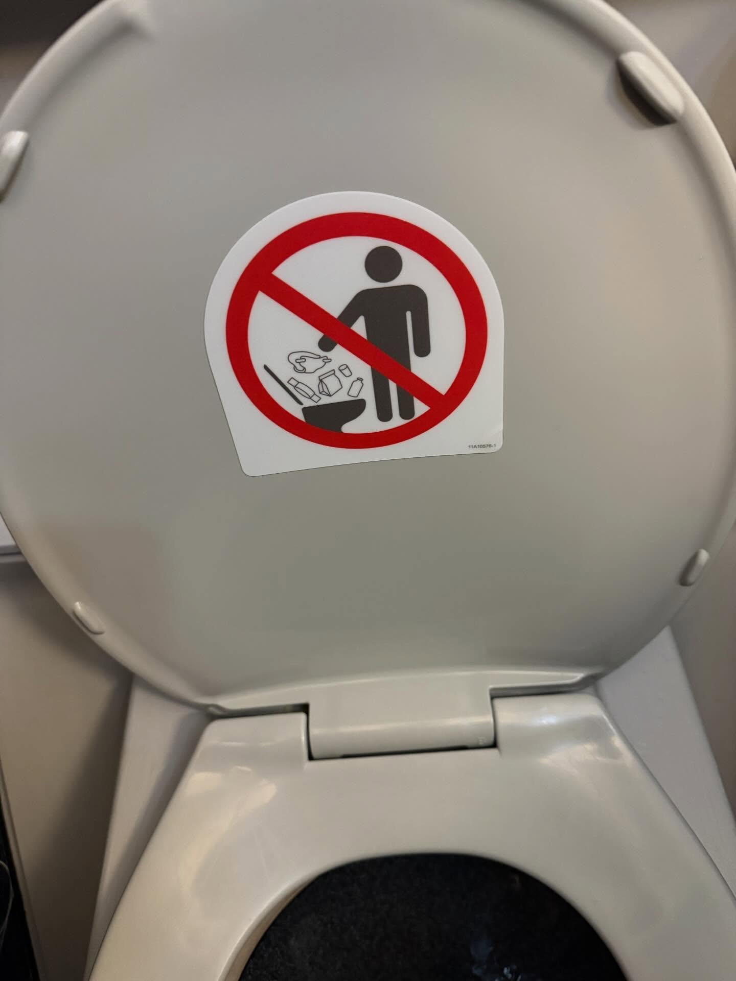I wish I noticed this sign on the plane before I flushed a bag of sandwiches, milk bottle, chicken in a diaper and candy bars. I feel so silly.