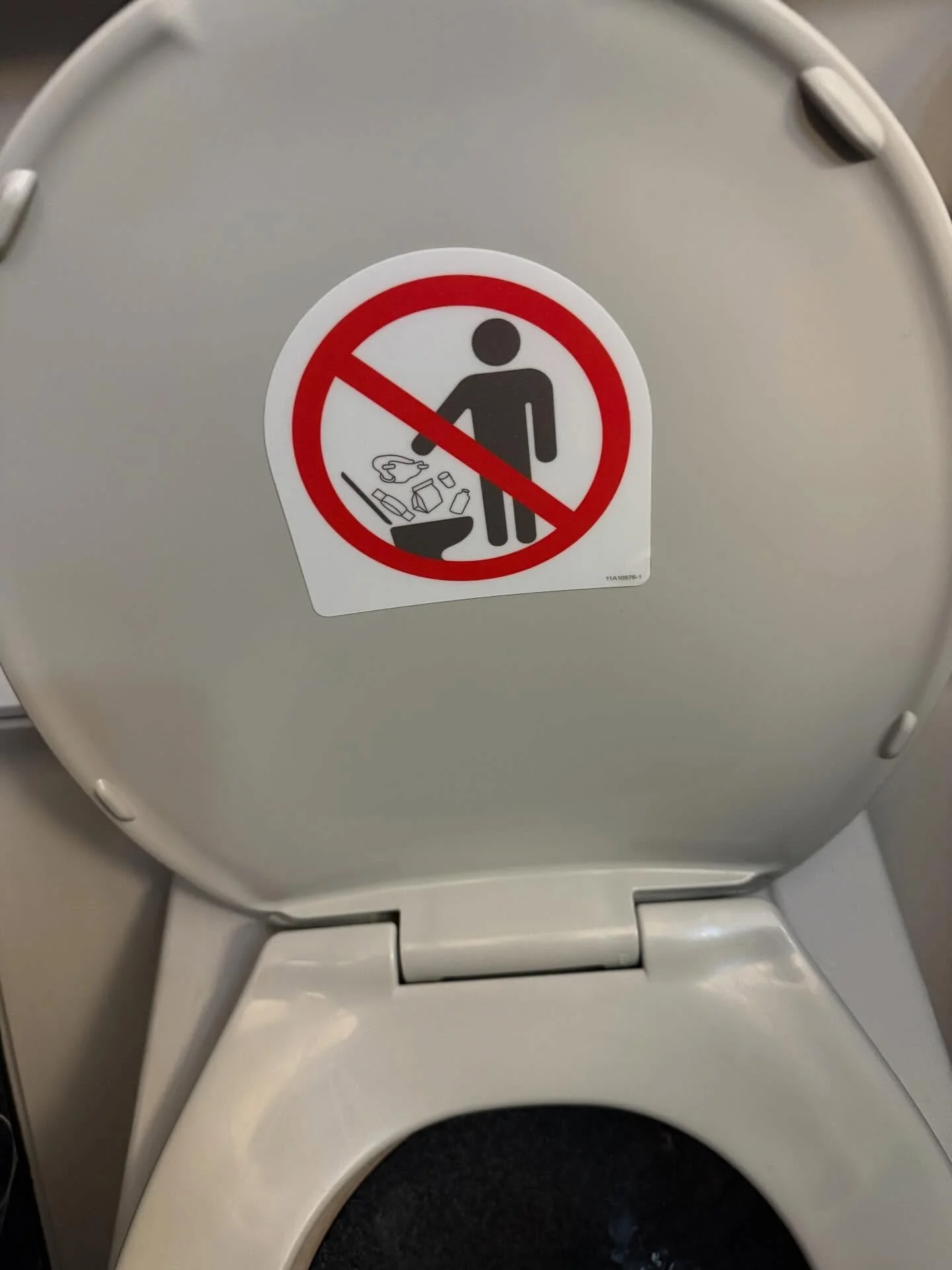 I wish I noticed this sign on the plane before I flushed a bag of sandwiches, milk bottle, chicken in a diaper and candy bars. I feel so silly.