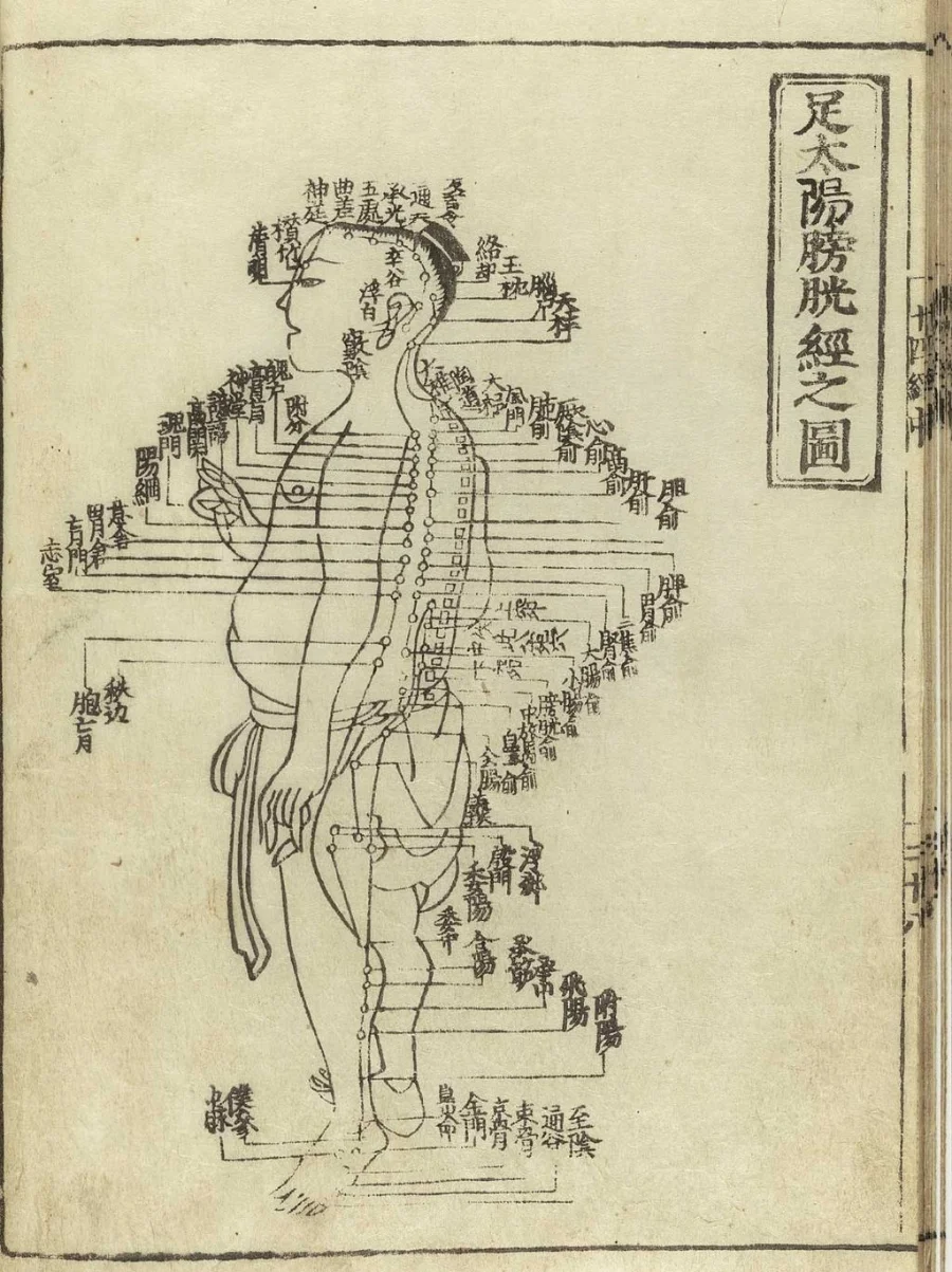 1024px-Hua_t08.jpg