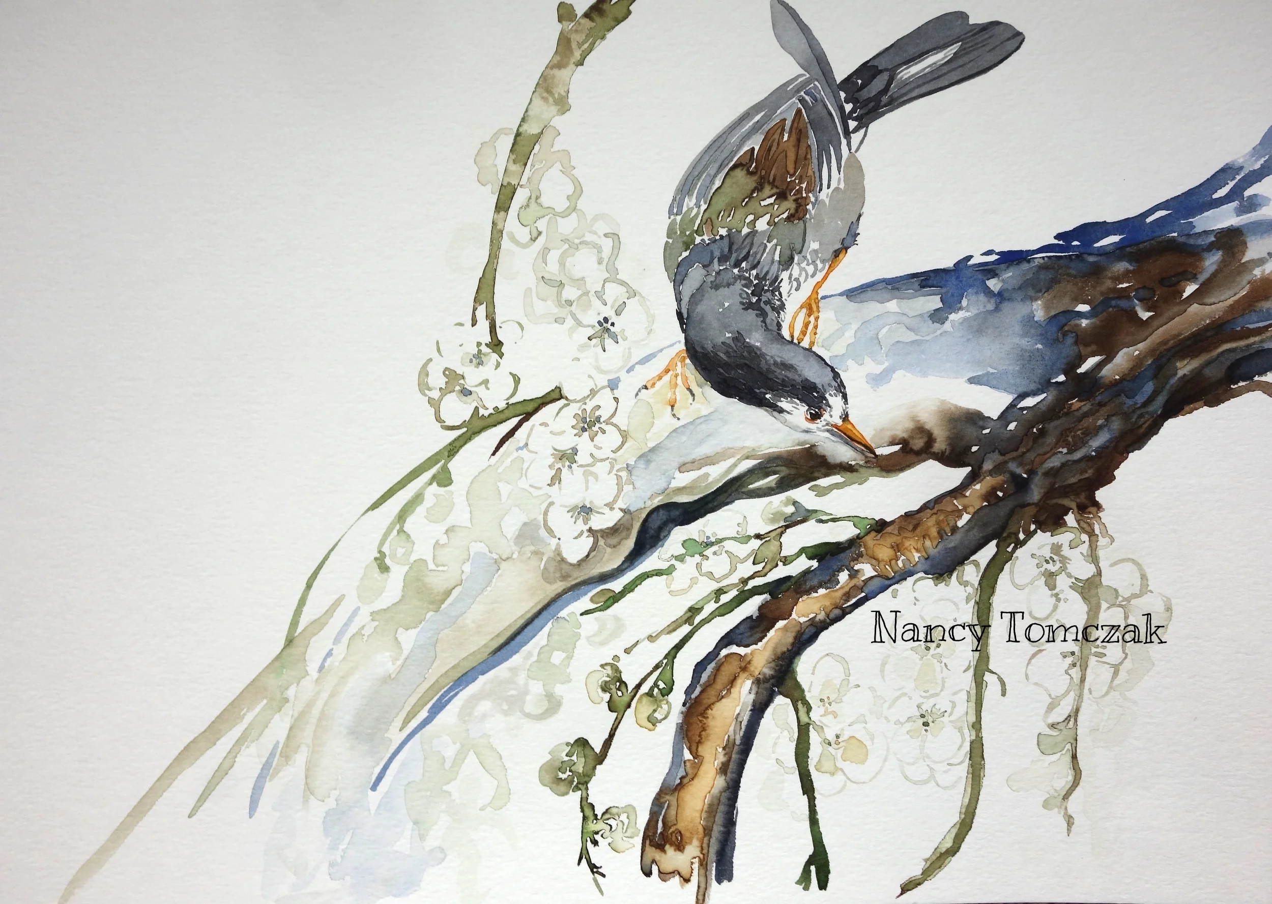 Starling With Apple Blossoms