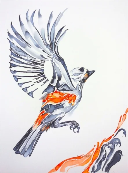 Tufted Titmouse
