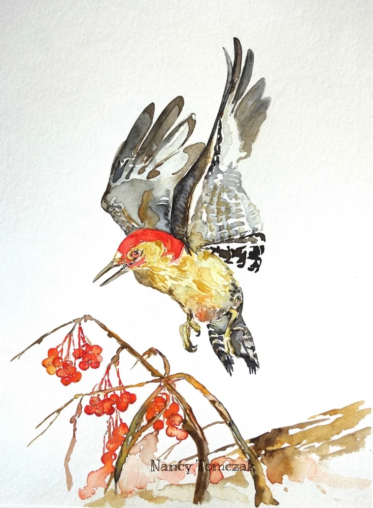 Fall Flicker