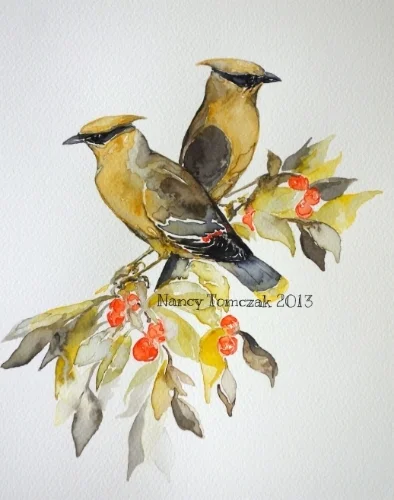 Cedar Waxwings 
