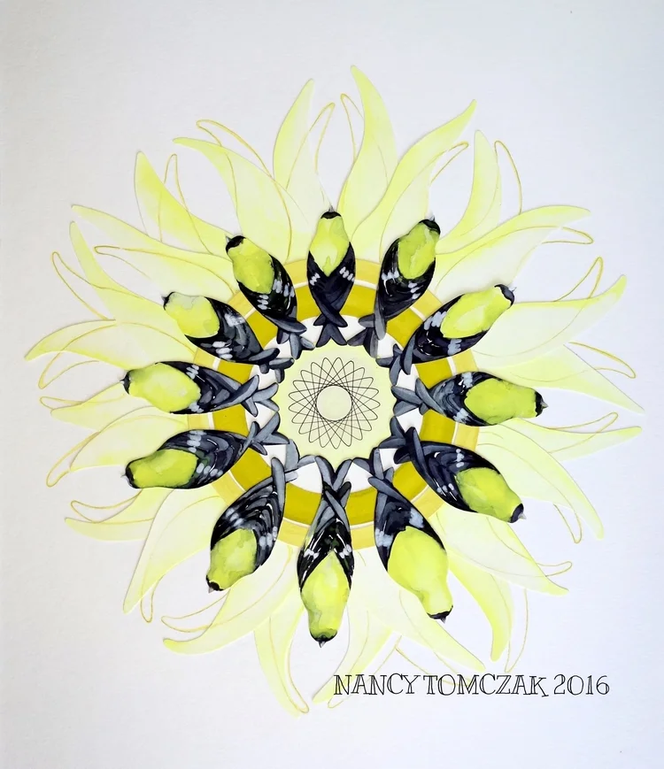 Gold+Finch+Sun+Flower.+Nancy+Tomczak.+2016.18x20.+watercolor+collage.DSC04455+(2).jpeg