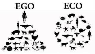 Existen diversos enfoques dentro del ecologismo, desde uno fundamentado en antropocentrismo sano y responsable, hasta aquel ecologismo que tiende a igualar al ser humano a las demás formas de vida. Pero a la larga todo ecologismo siempre será antrocpocéntrico, ya que es una creación del ser humano.