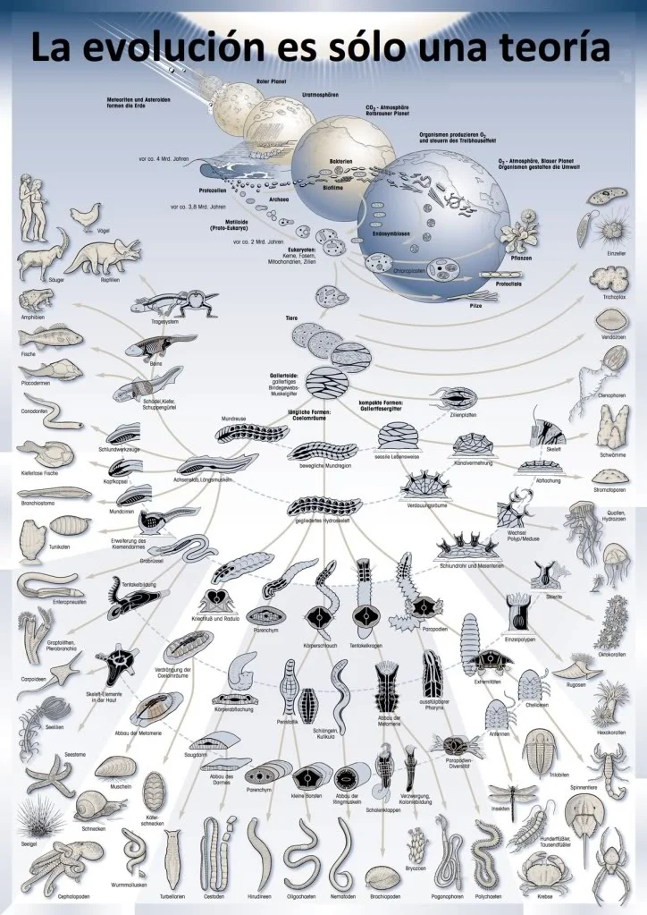 evolution-poster.jpg