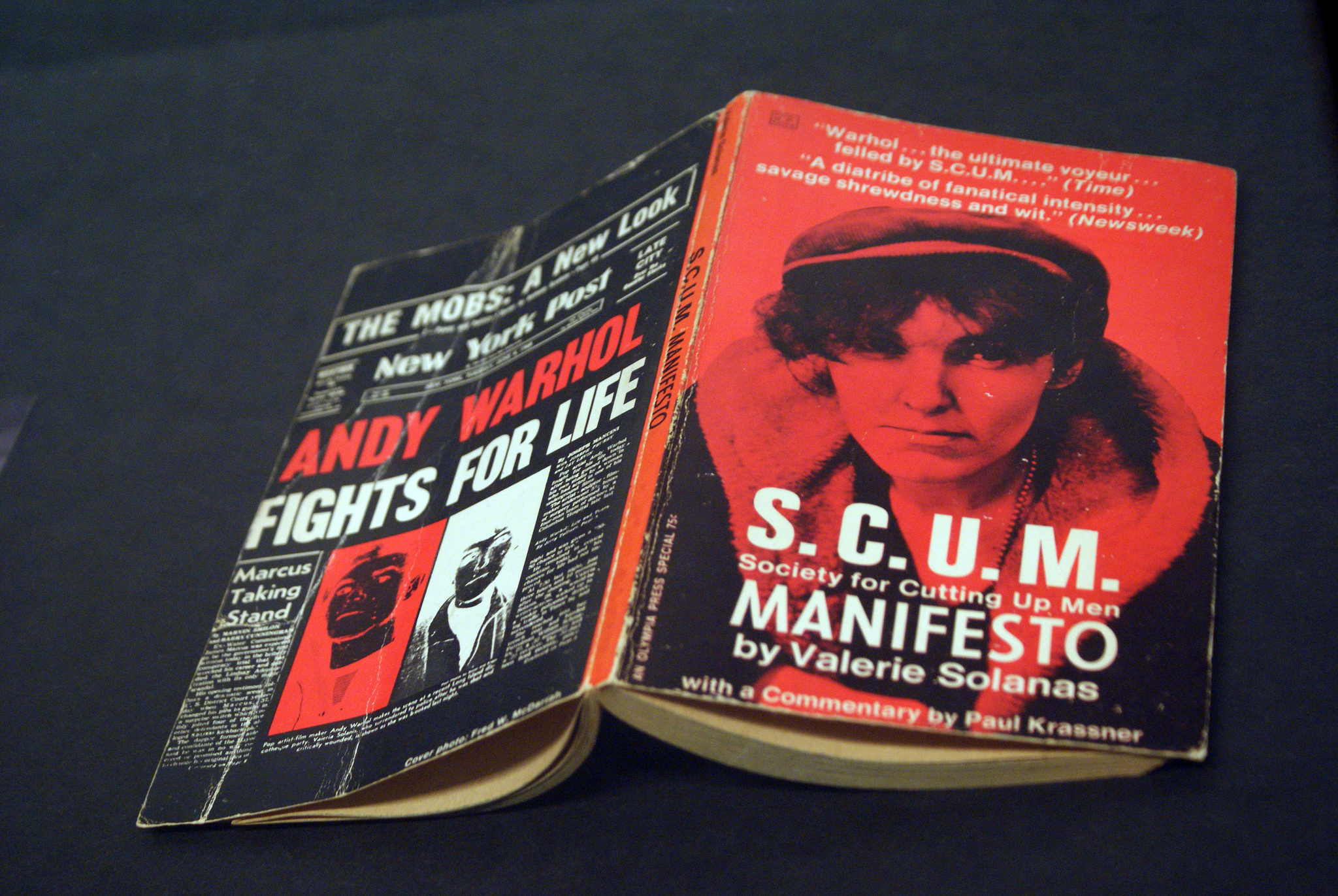 Valerie Solanas escribió este Manifiesto misándrico. La autora fue más bien conocida por su intento de asesinar a Andy Warhol