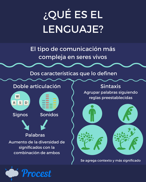 https://www.procesosestratégicos.com/cognitivo/lenguaje/