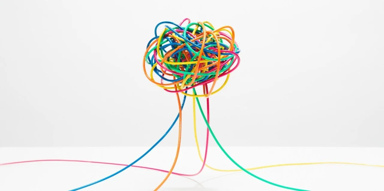 Sistemas y sistemismo (por Jan Doxrud)