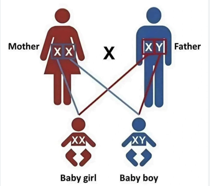 3/6- Sexo…Género…¿de qué estamos hablando? 