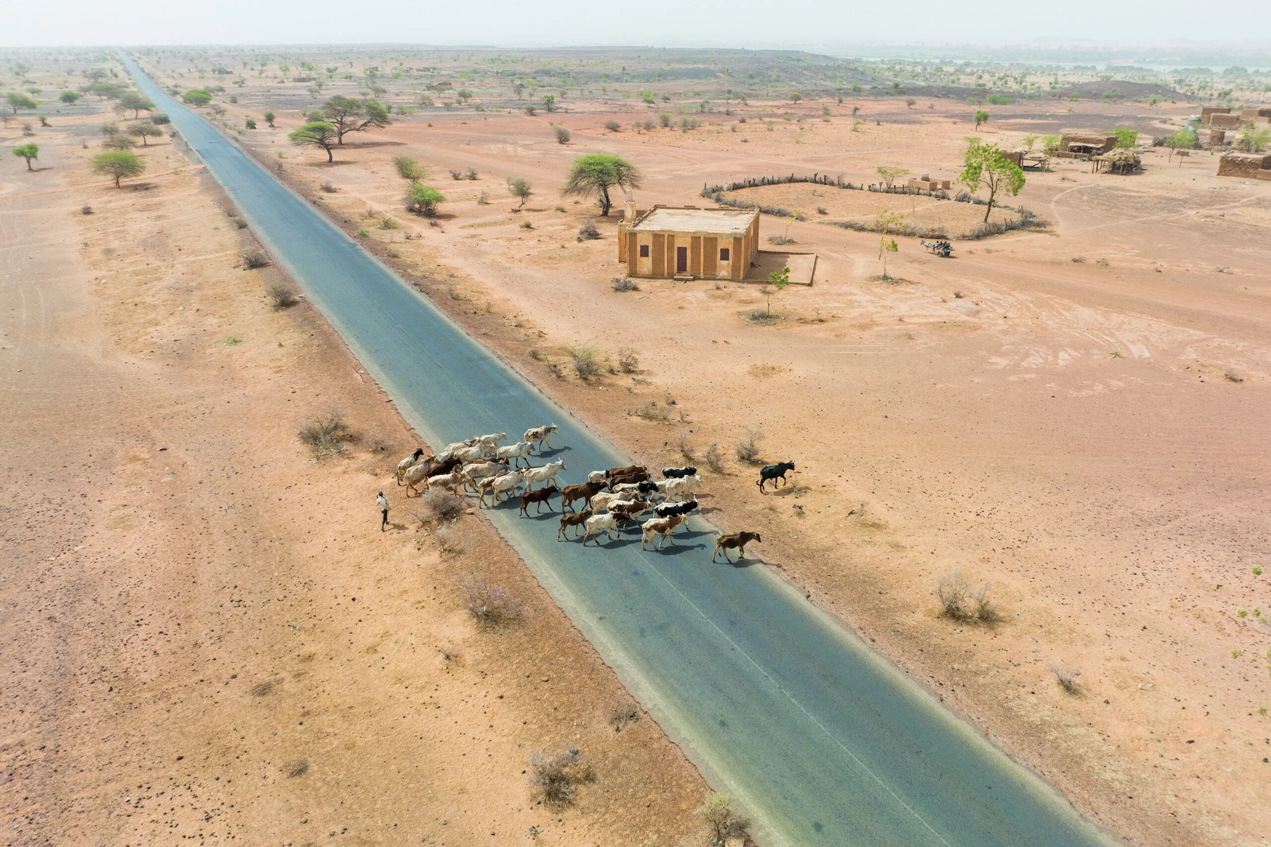 3/4- La búsqueda de la estabilidad política en el&nbsp;África Subsahariana (por Jan Doxrud)