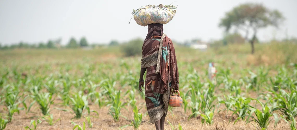 4/4- La búsqueda de la estabilidad política en el África Subsahariana (por Jan Doxrud)