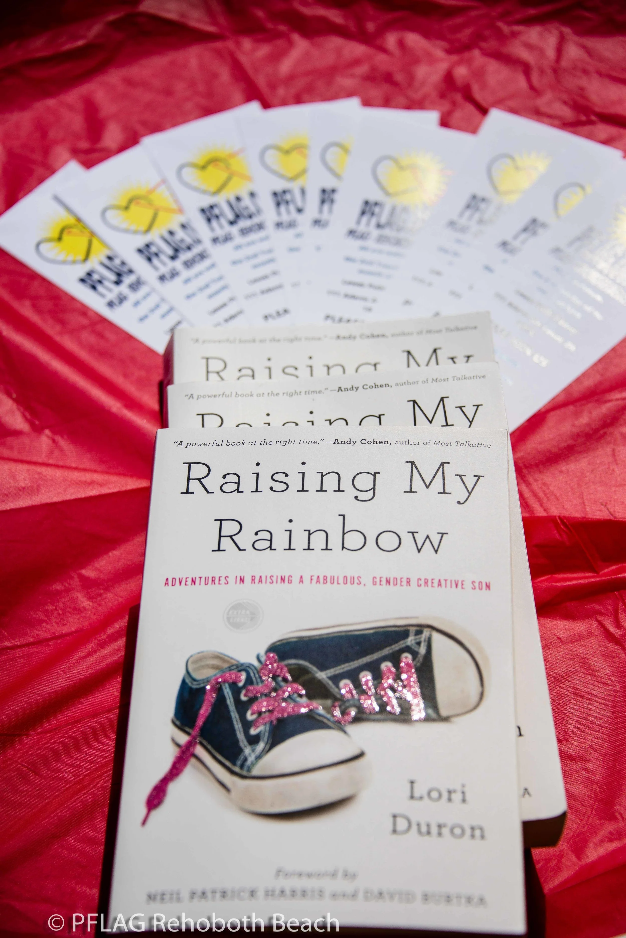 Raising My Rainbow