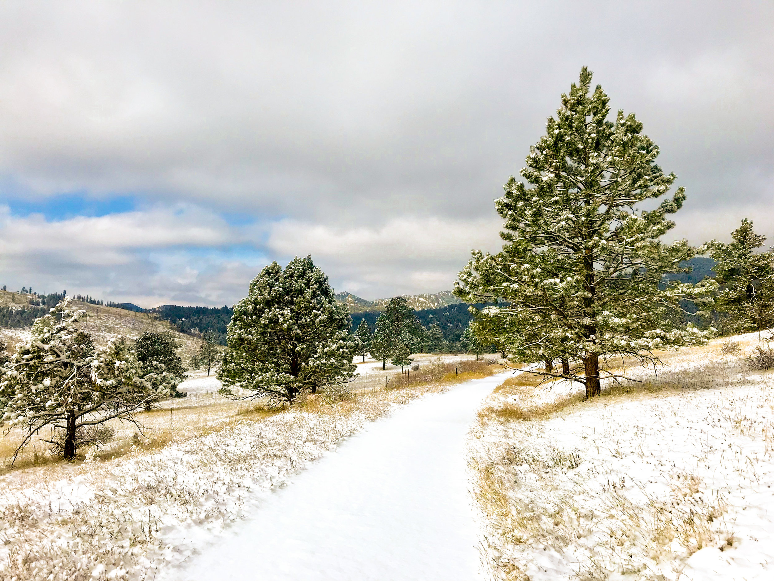 Meyers Gulch Trail_Boulder-3.jpg