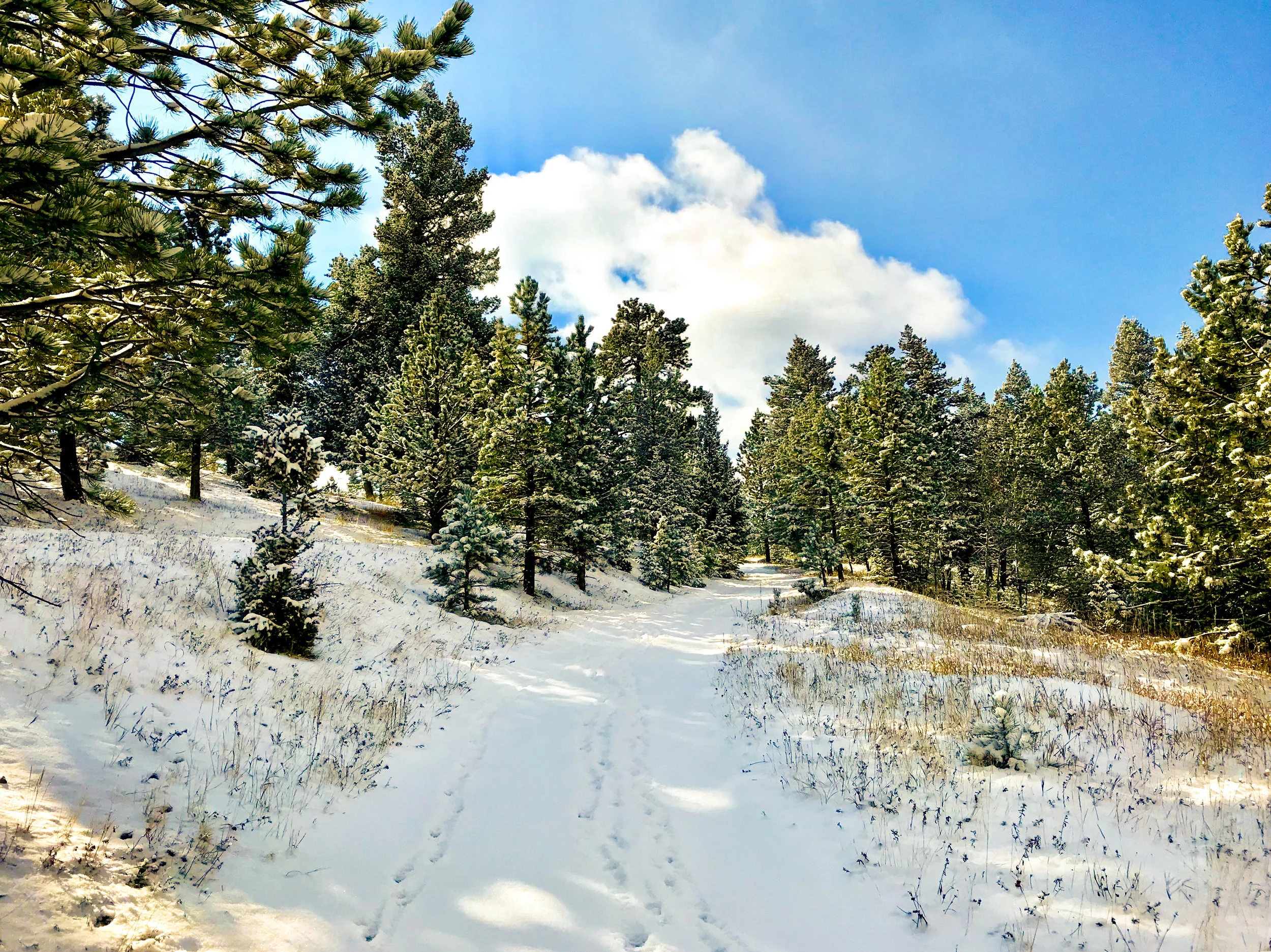 Meyers Gulch Trail_Boulder-2.jpg