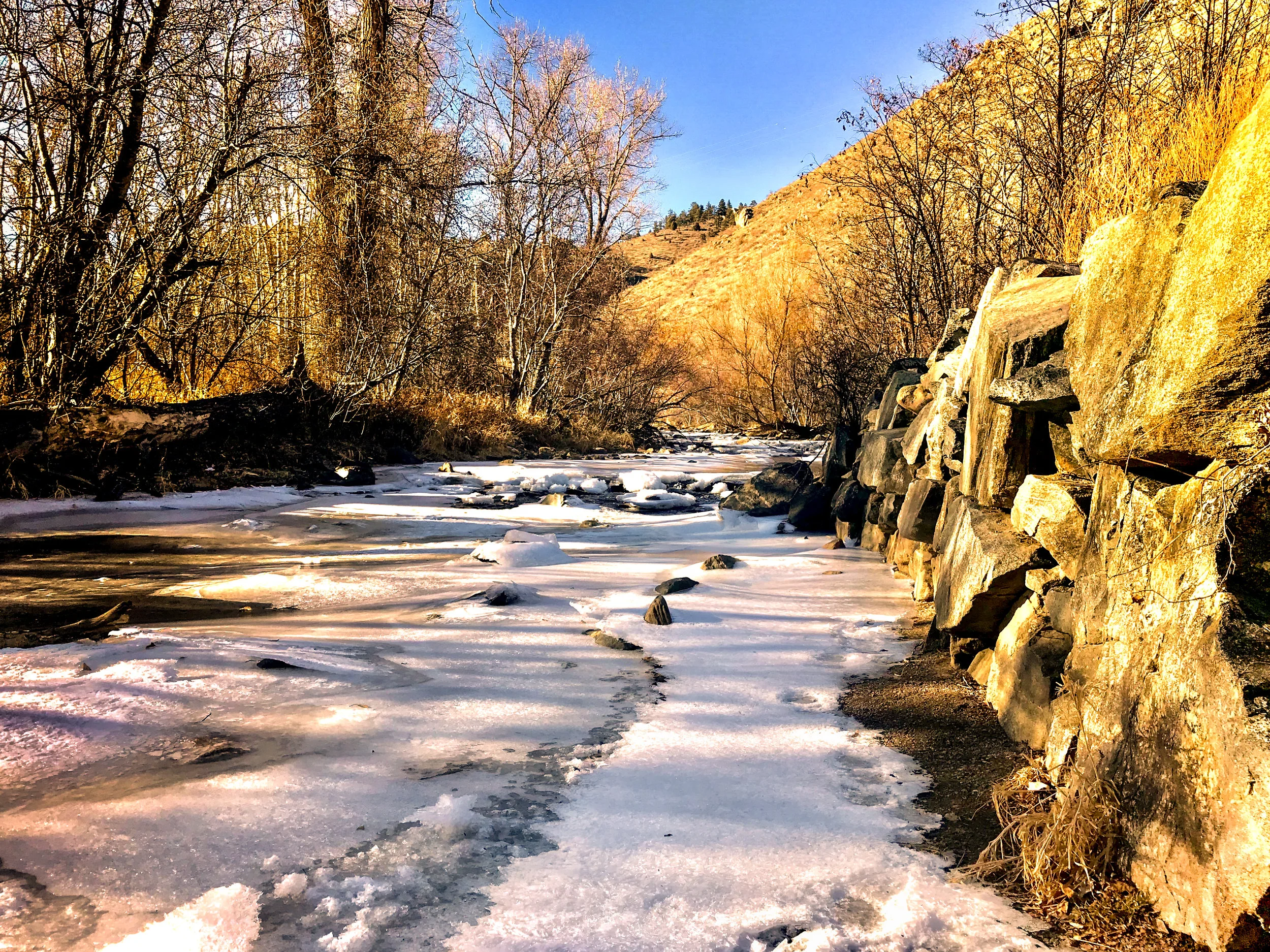 Lair O Bear_Evergreen-2.jpg