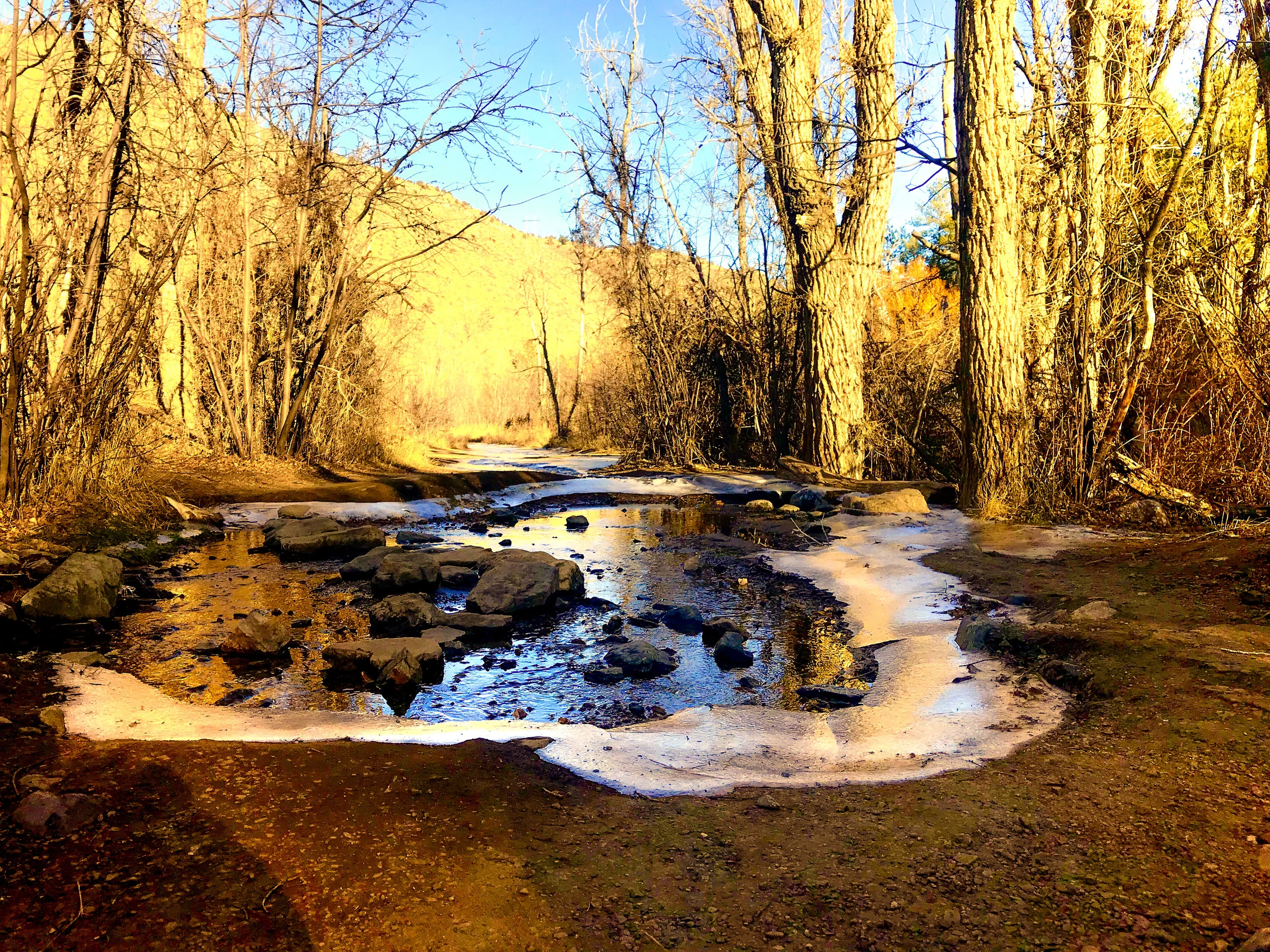 Lair O Bear_Evergreen-9.jpg