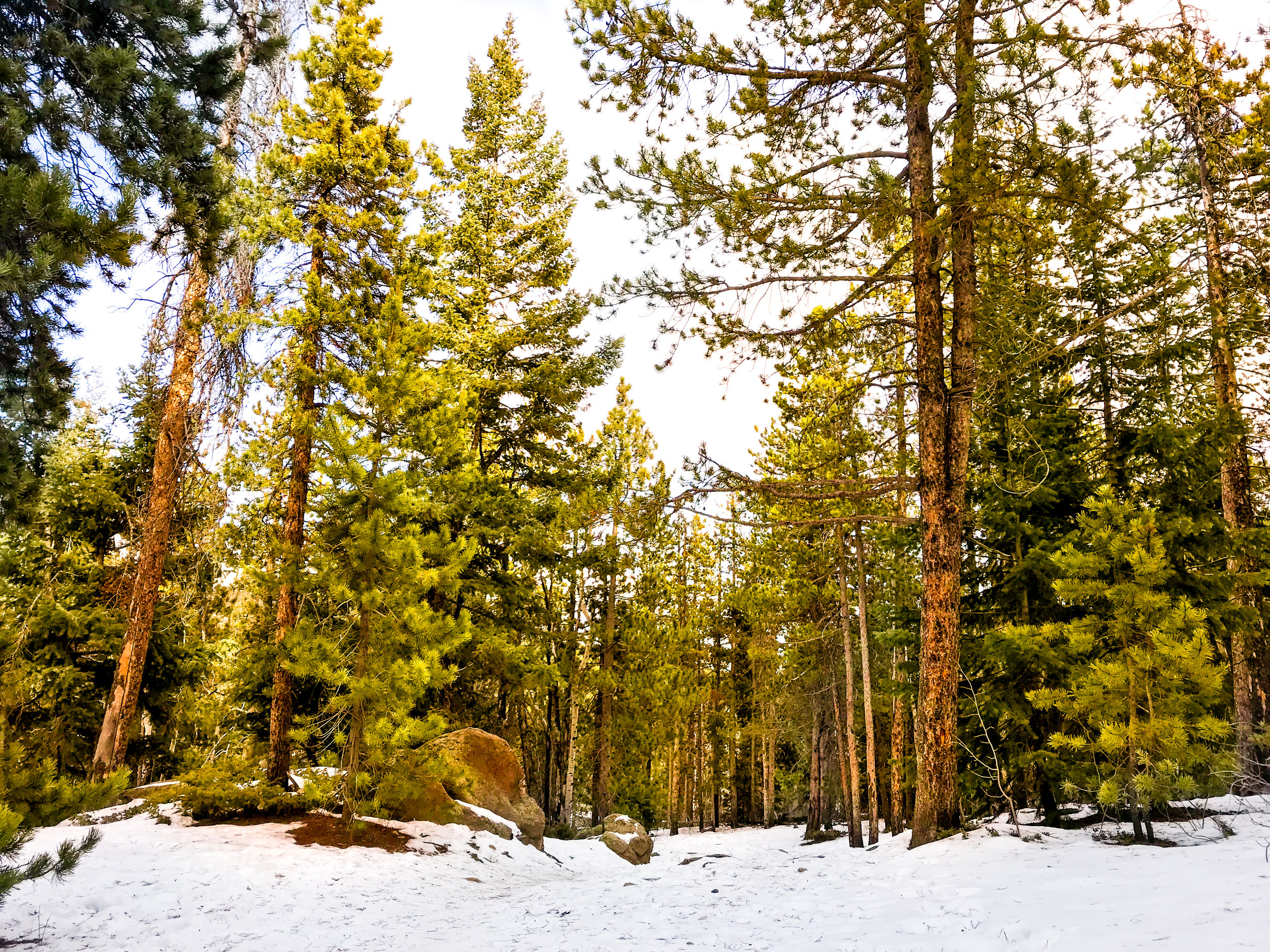 Meyer Ranch Park_Morrison.jpg