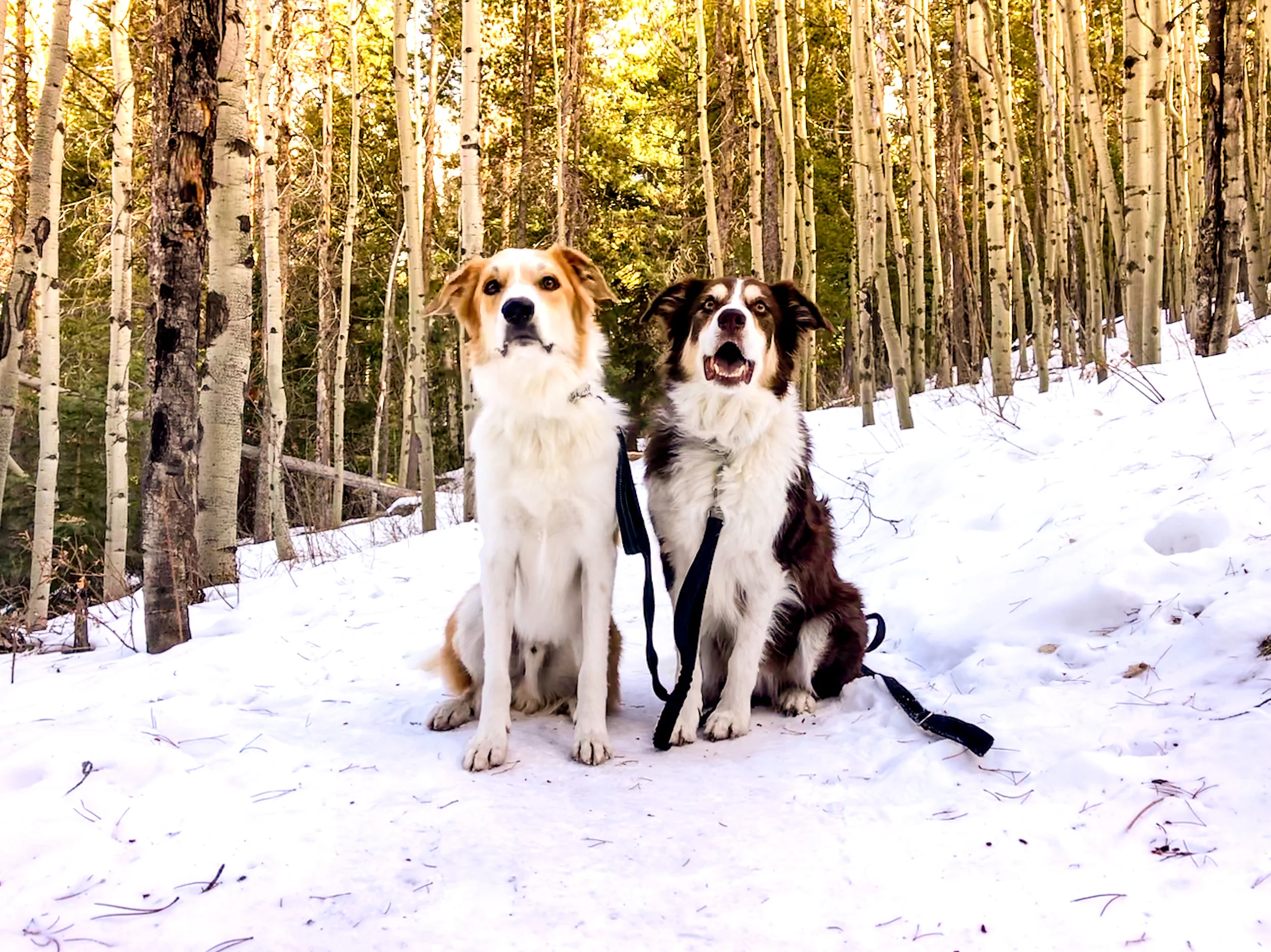 Meyer Ranch Park_Morrison-3.jpg