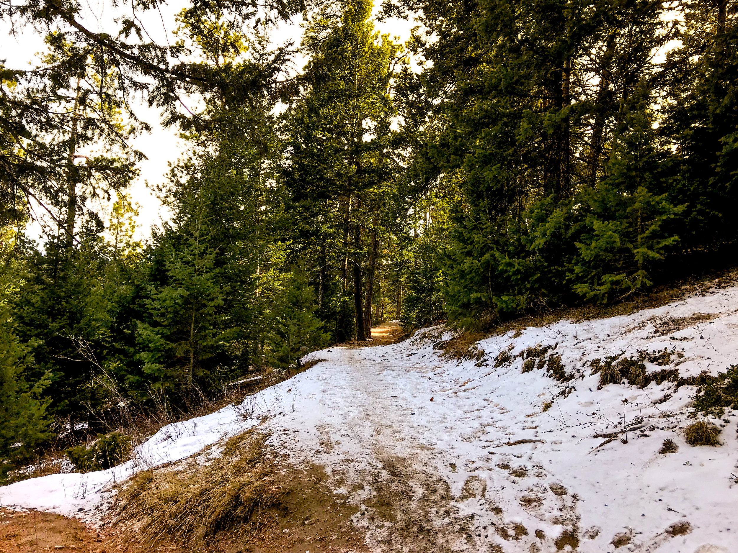 Elk Ridge Park_Evergreen-2.jpg