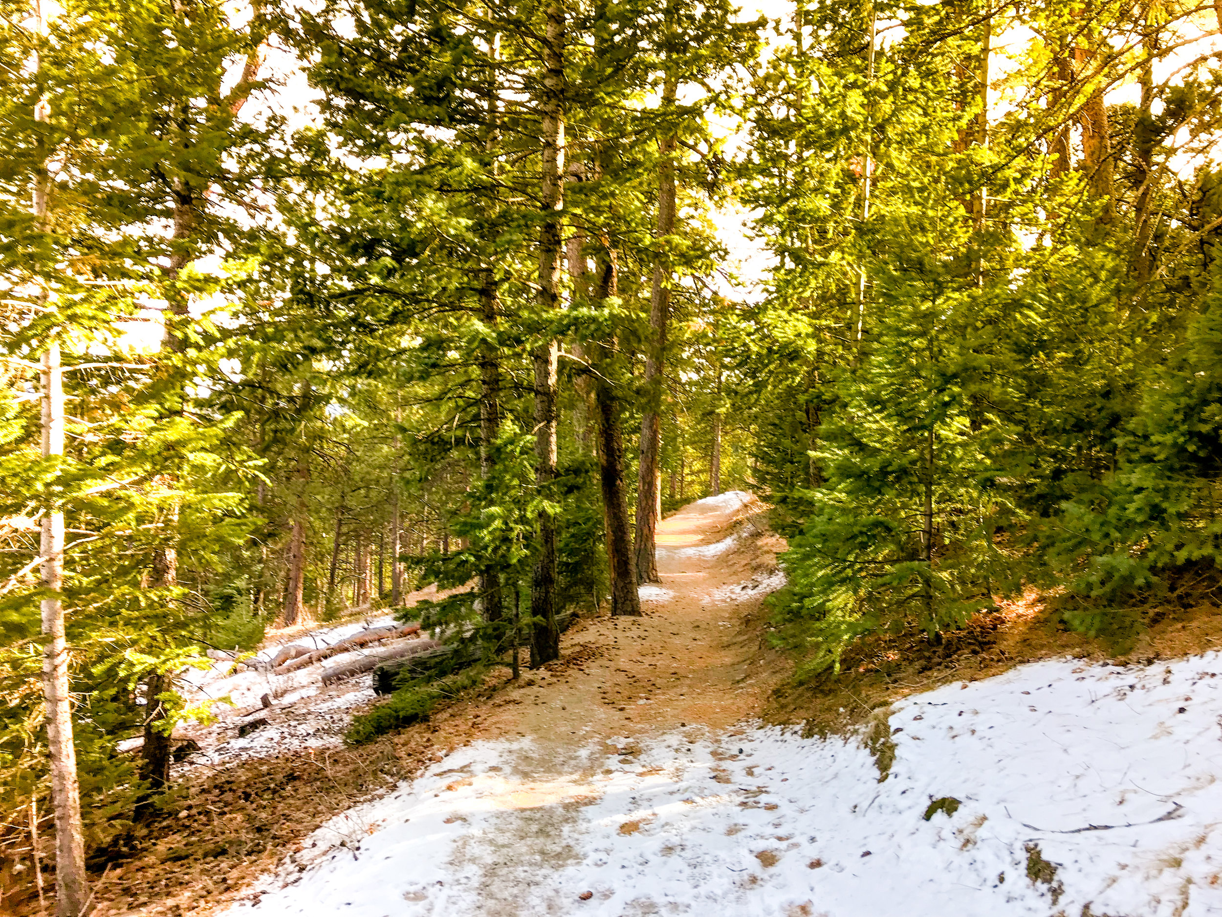 Elk Ridge Park_Evergreen-3.jpg