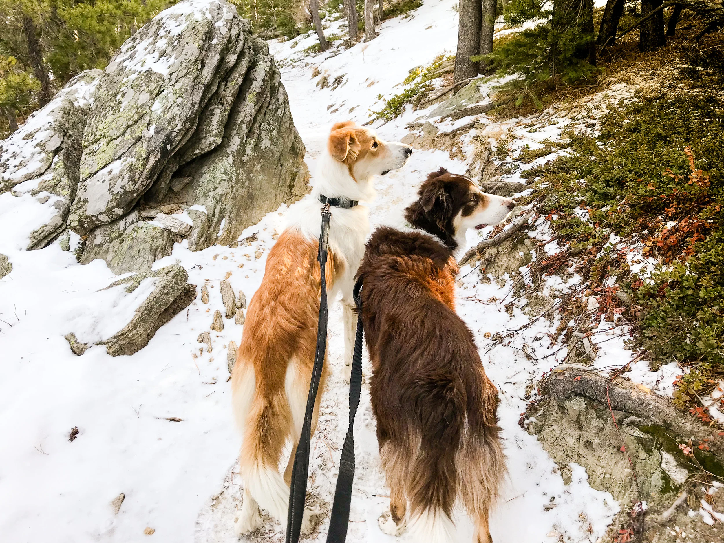 Elk Ridge Park_Evergreen-4.jpg