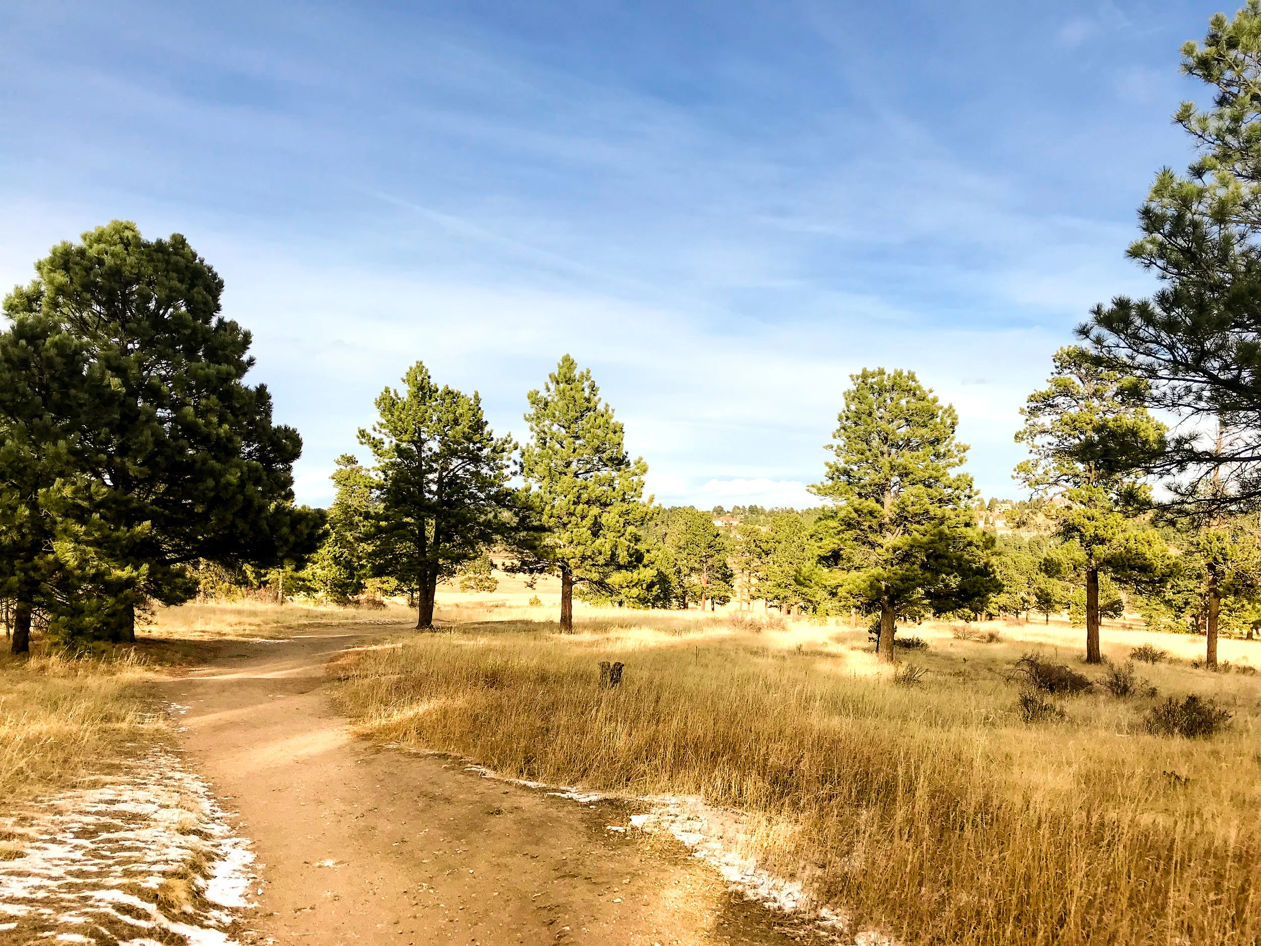 Elk Ridge Park_Evergreen-10.jpg