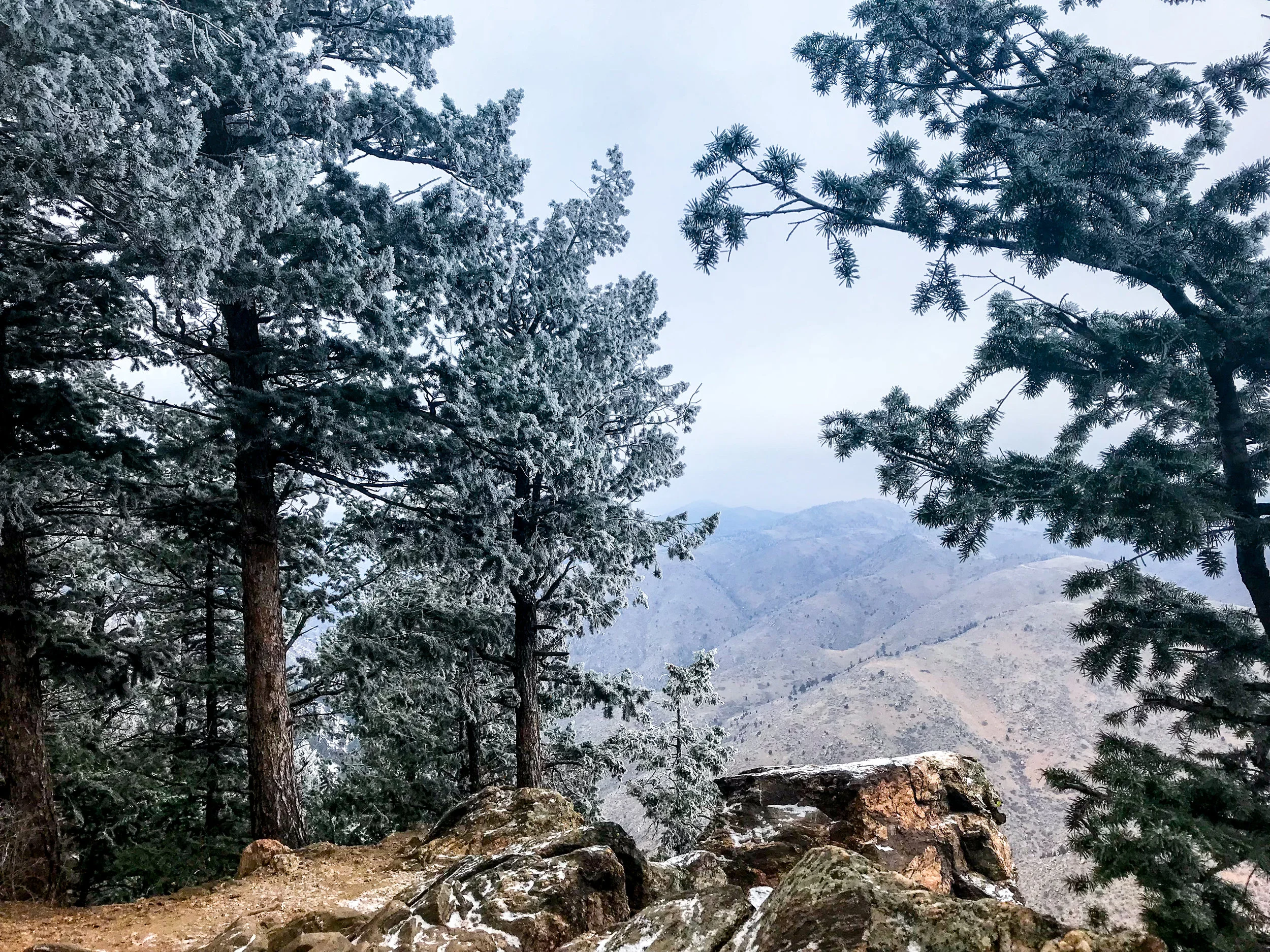 Windy Saddle Park_Golden-4.jpg