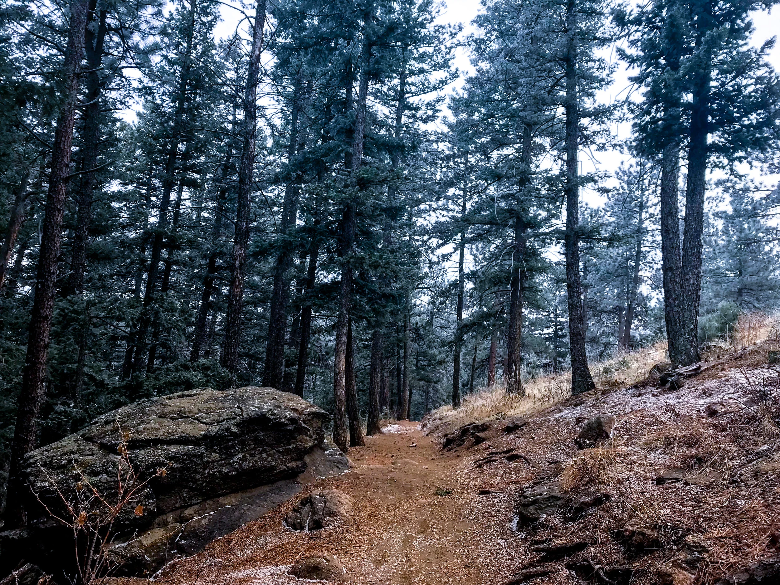 Windy Saddle Park_Golden-7.jpg