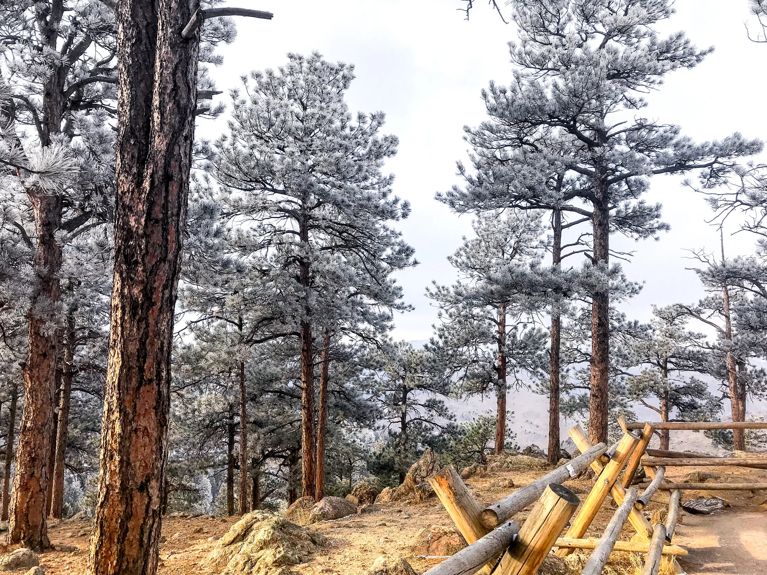 Windy Saddle Park_Golden-12.jpg