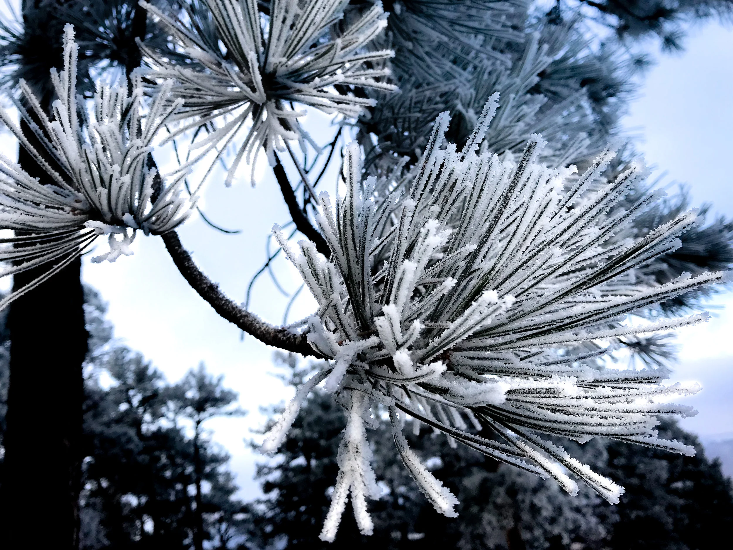 Windy Saddle Park_Golden-14.jpg